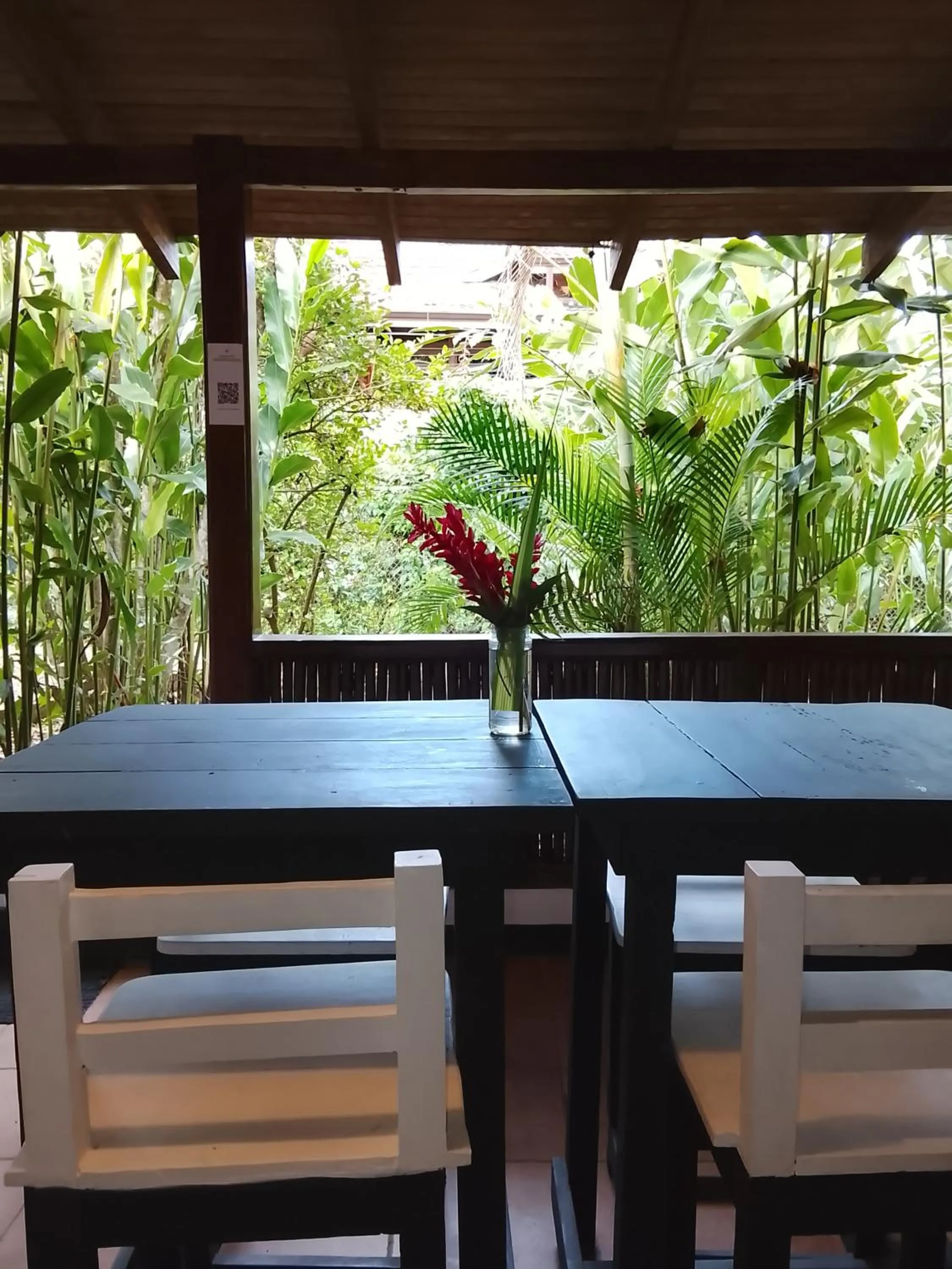 Balcony/Terrace in Hotel Exotic Lodge