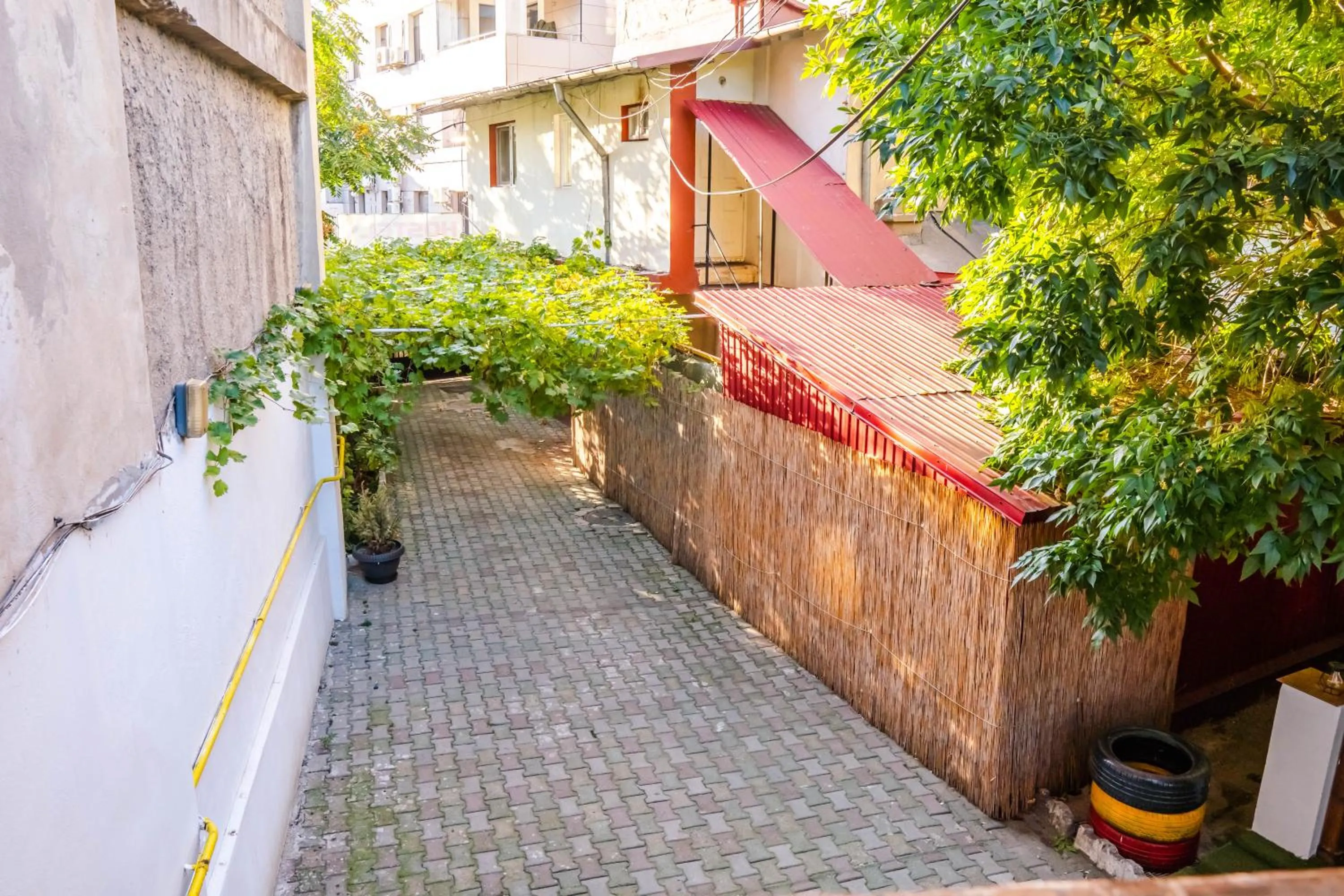 Garden view in HOSTEL SPORT BUCHAREST