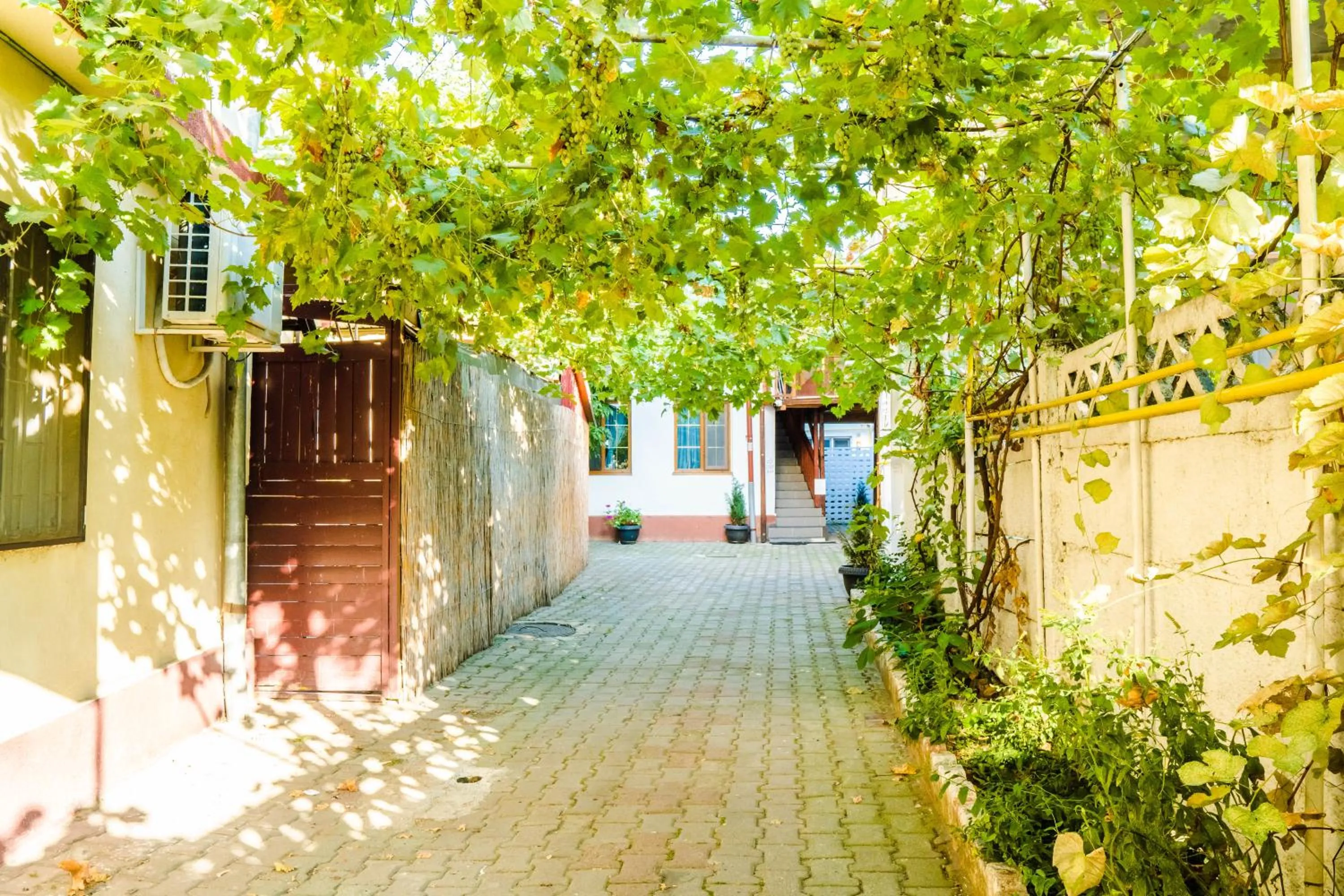 Garden in HOSTEL SPORT BUCHAREST
