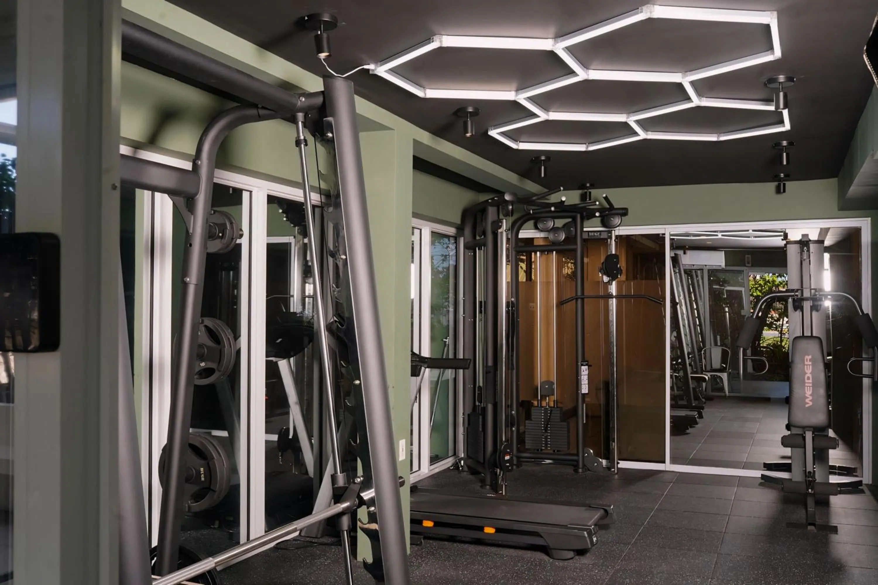 Fitness centre/facilities in Parc Rayne