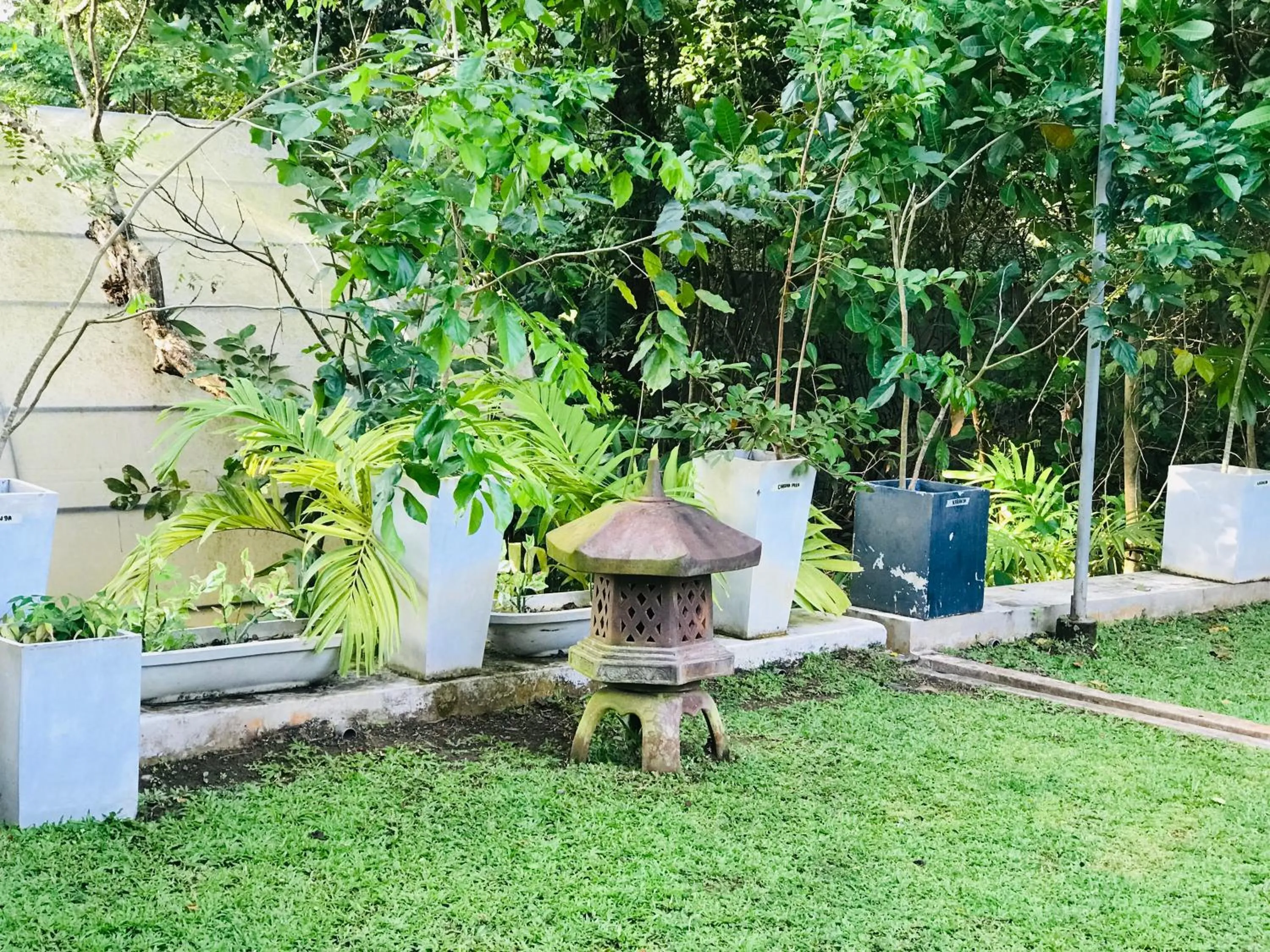 Garden in Ceylon Kingsmen Garden - Katunayake Airport Transit Hotels