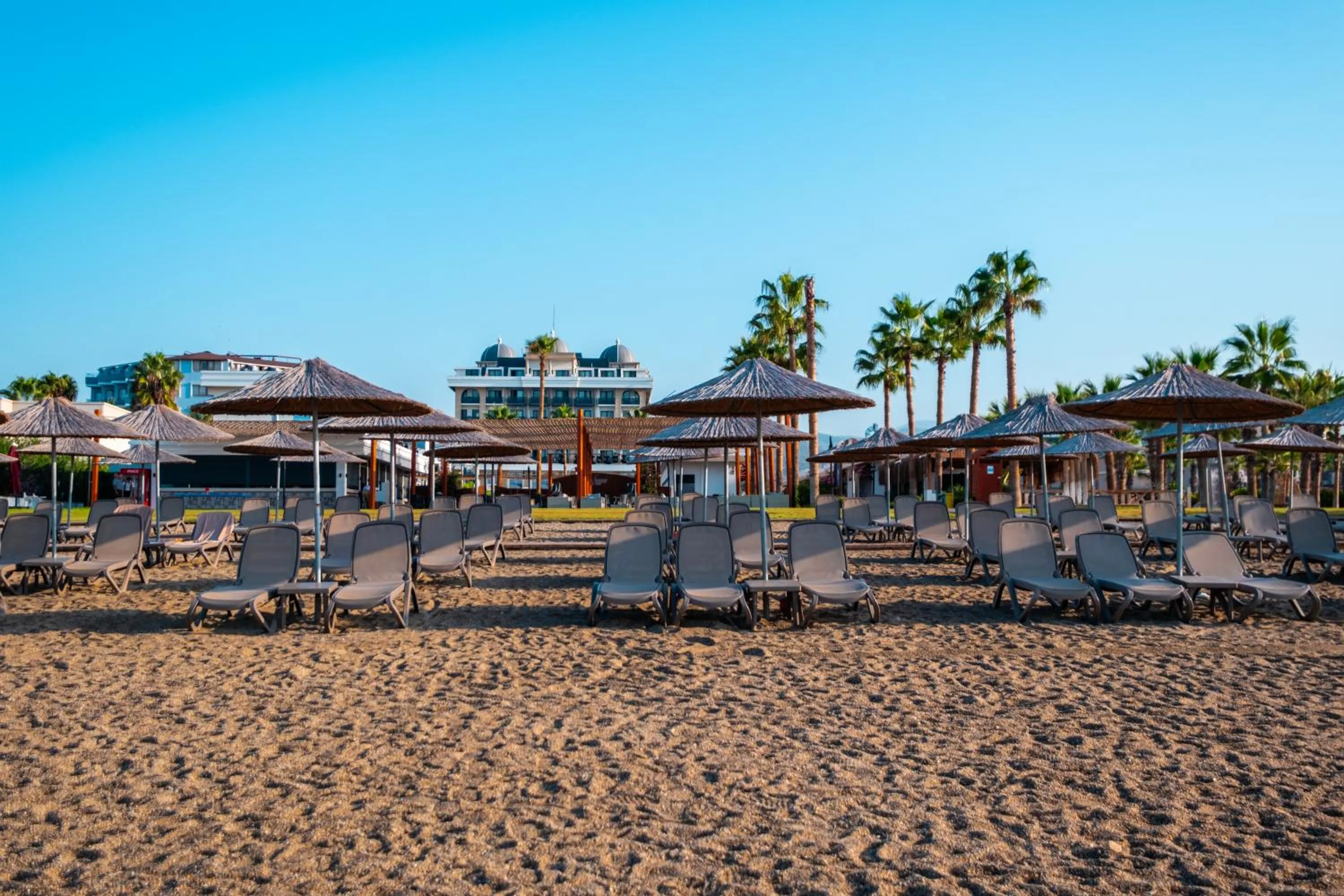 Day in Serenity Queen Hotel