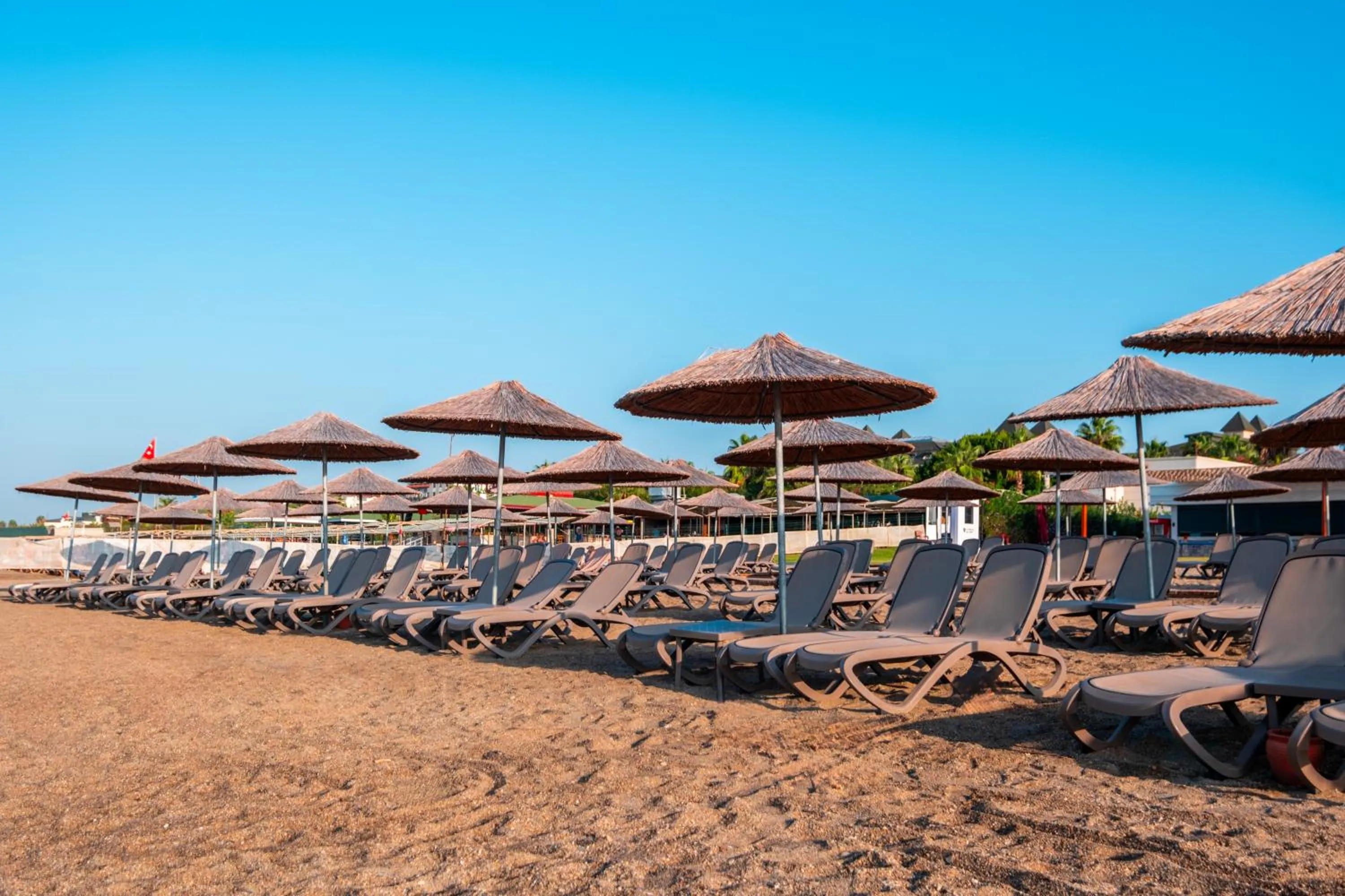 Day in Serenity Queen Hotel