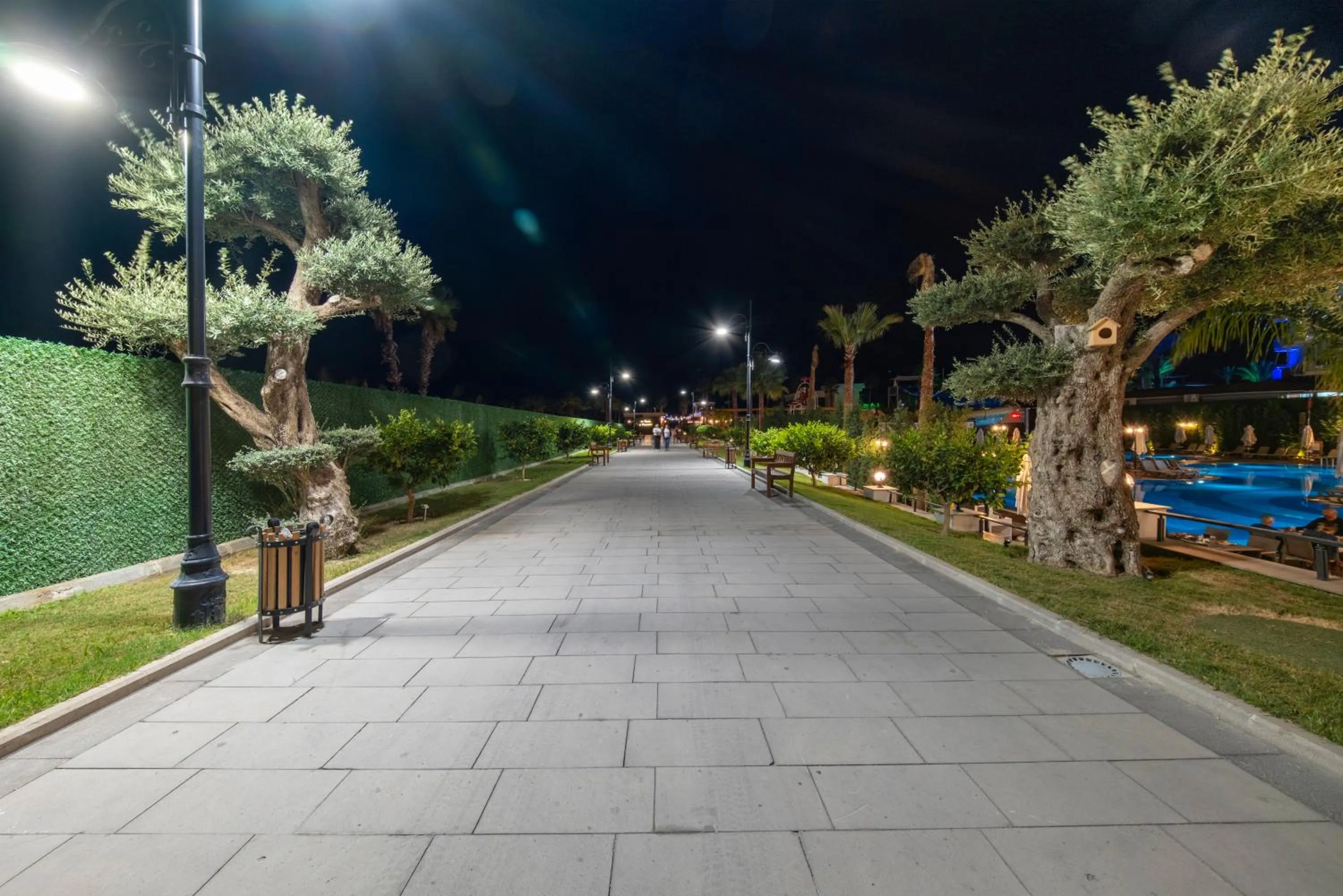 Night in Serenity Queen Hotel