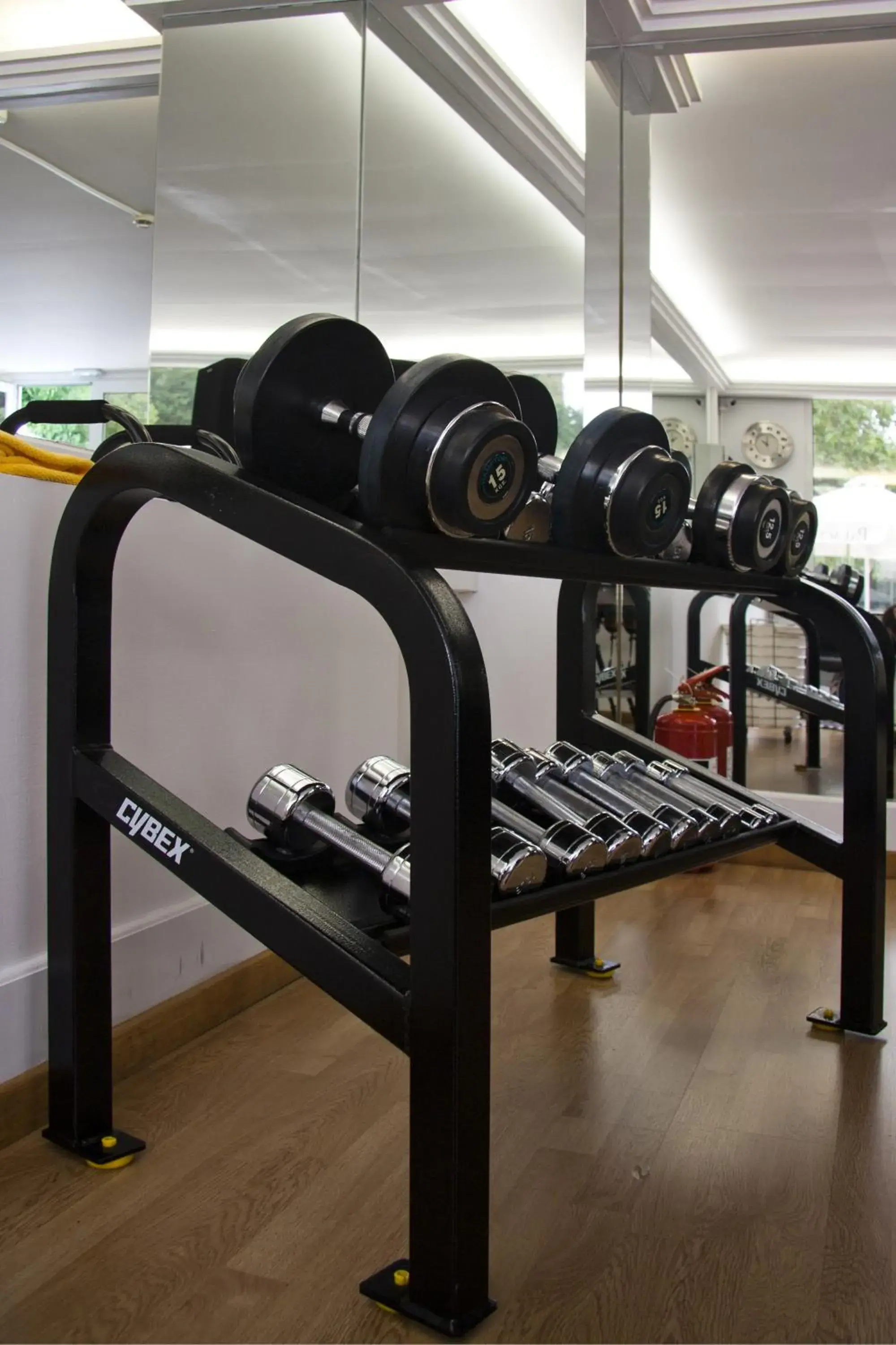 Fitness centre/facilities in Theoxenia Palace Fitness centre/facilities in Theoxenia Palace