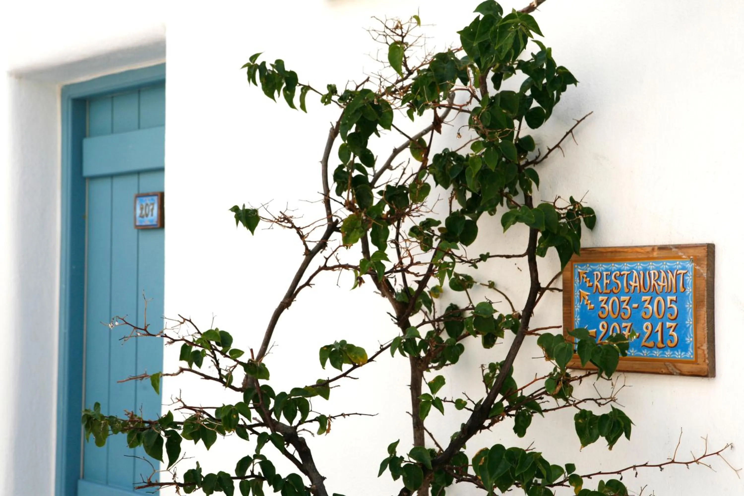 Decorative detail in Saint George Hotel