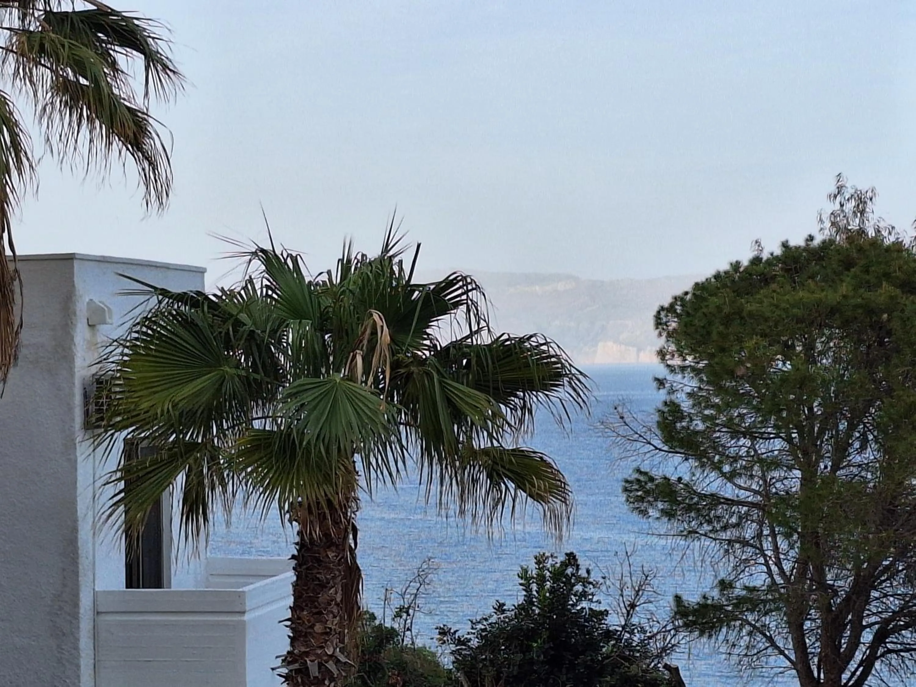 Sea view in Delfini Apartments