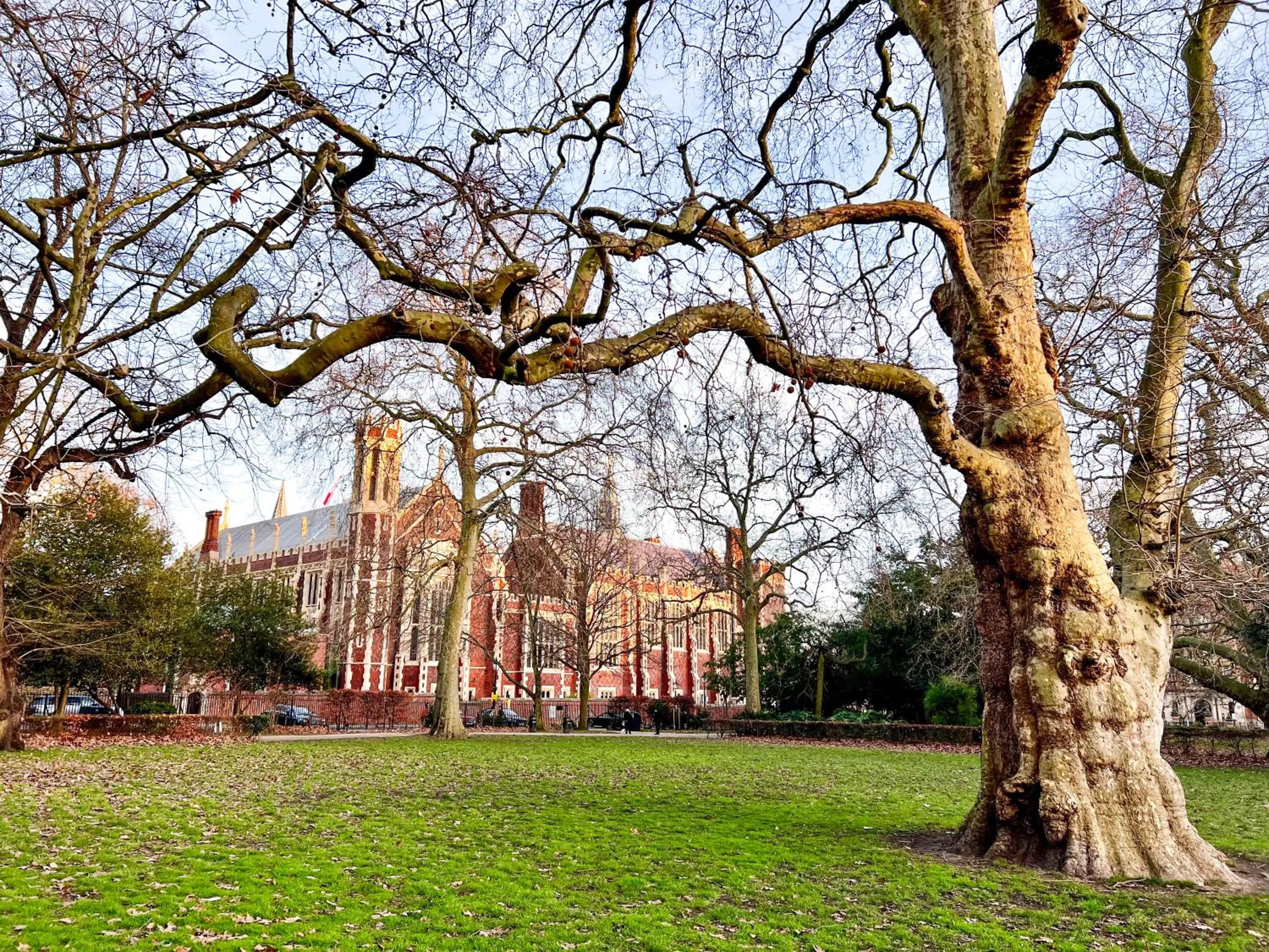 Deluxe Entire Apartment Between Covent Garden and St Pauls Cathedral