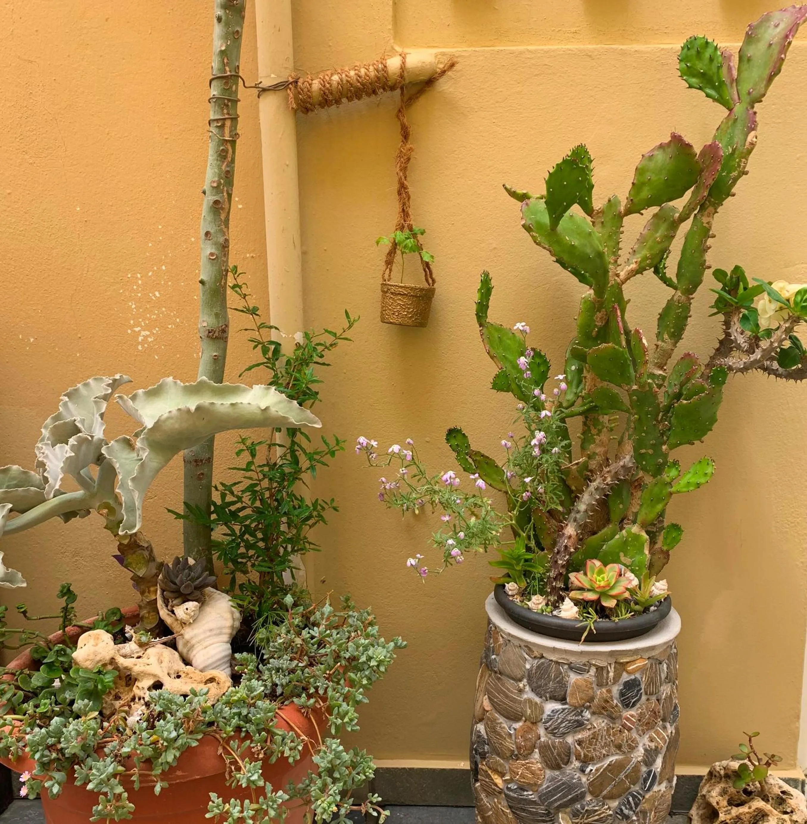 Decorative detail in Ermis Suites