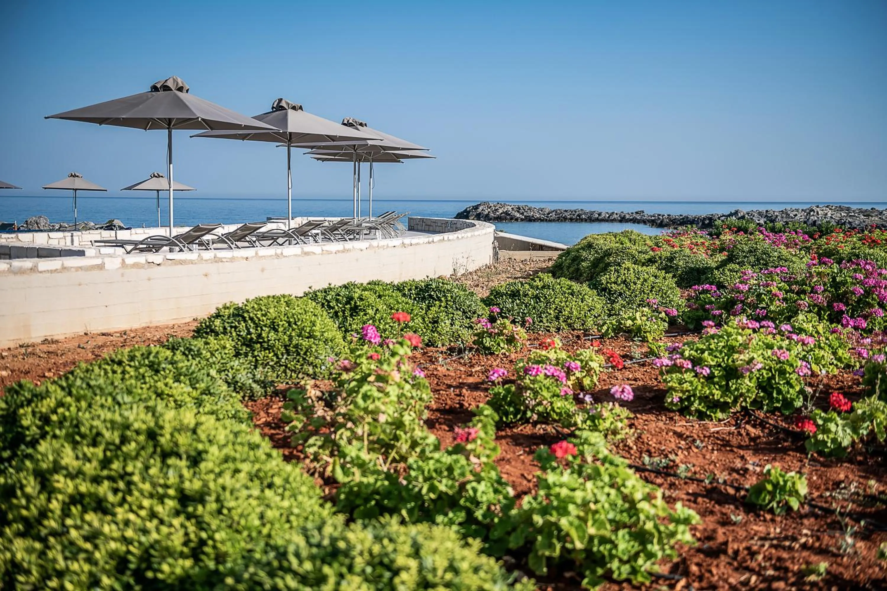Garden in Kavos Hotel & Suites
