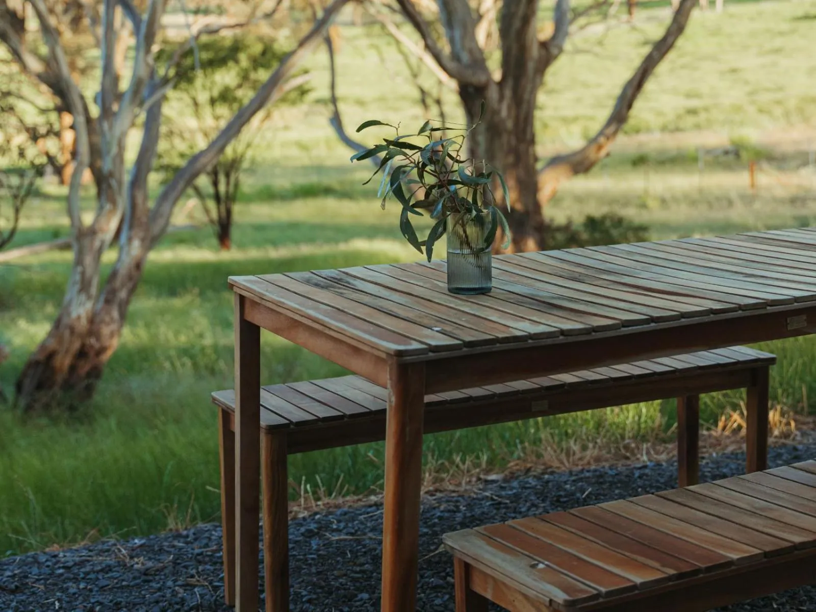 Garden view in CABN Clare Valley