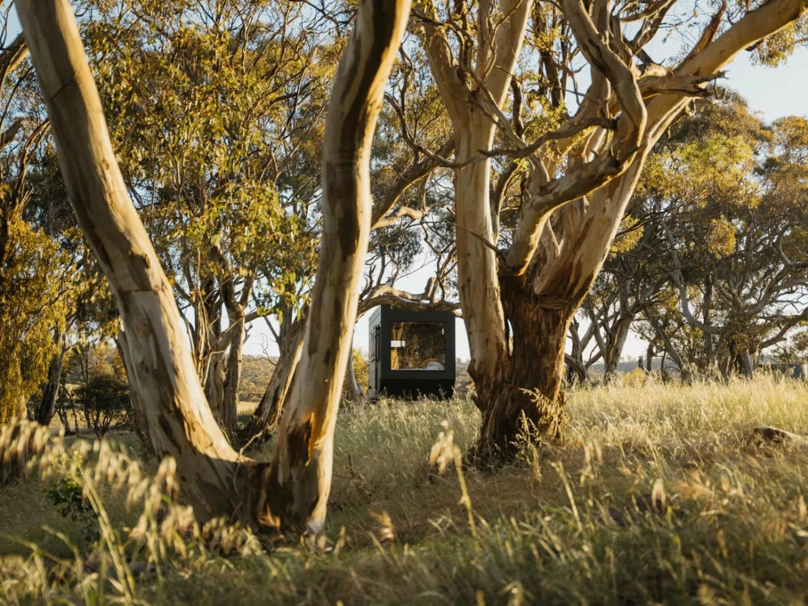 Natural landscape in CABN Clare Valley