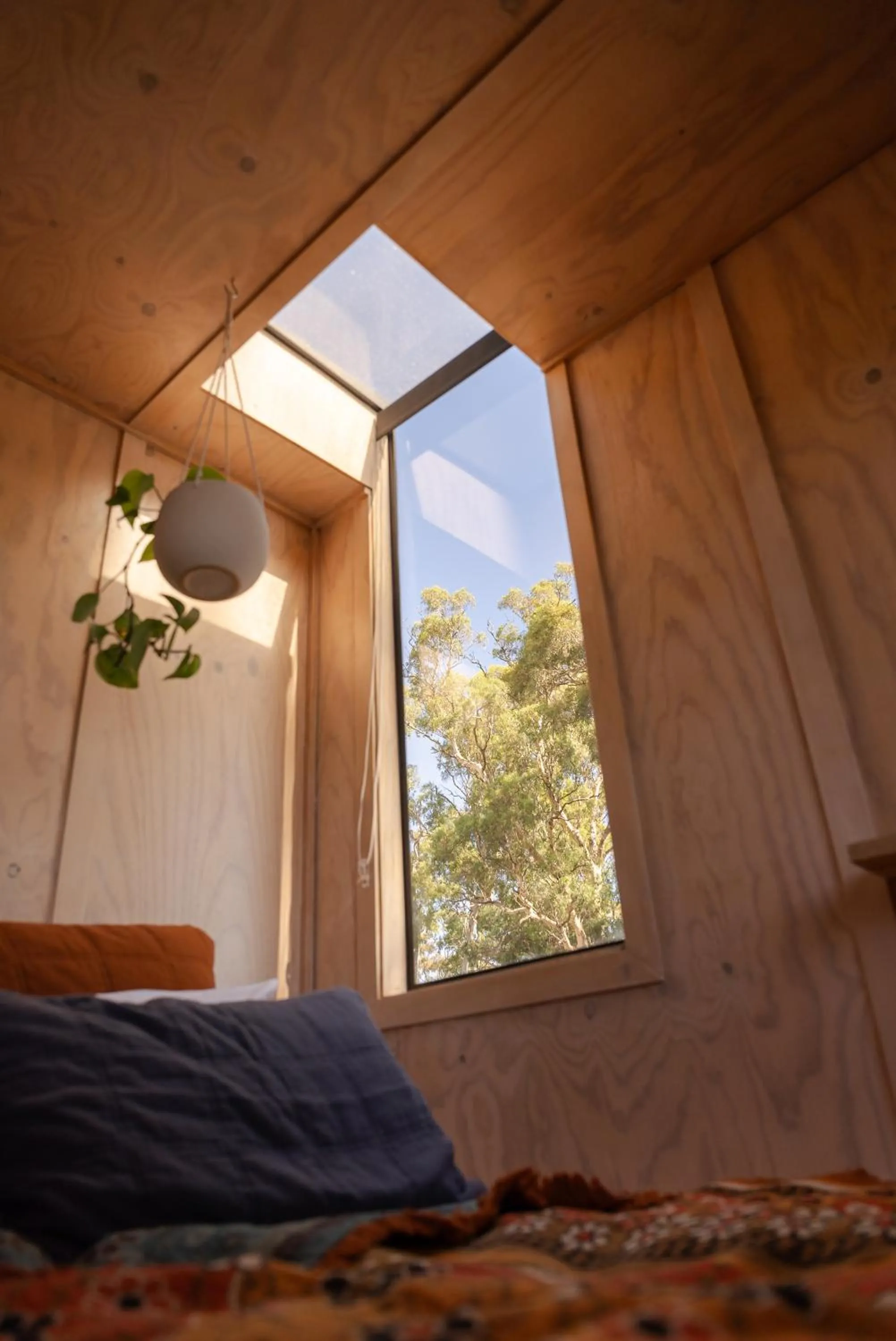 Bedroom in CABN McLaren Vale