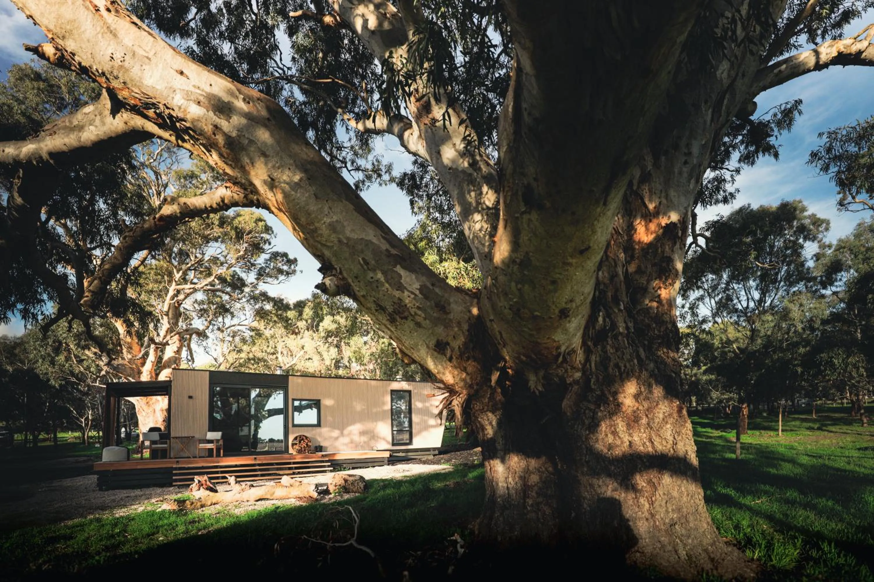 Natural landscape in CABN McLaren Vale