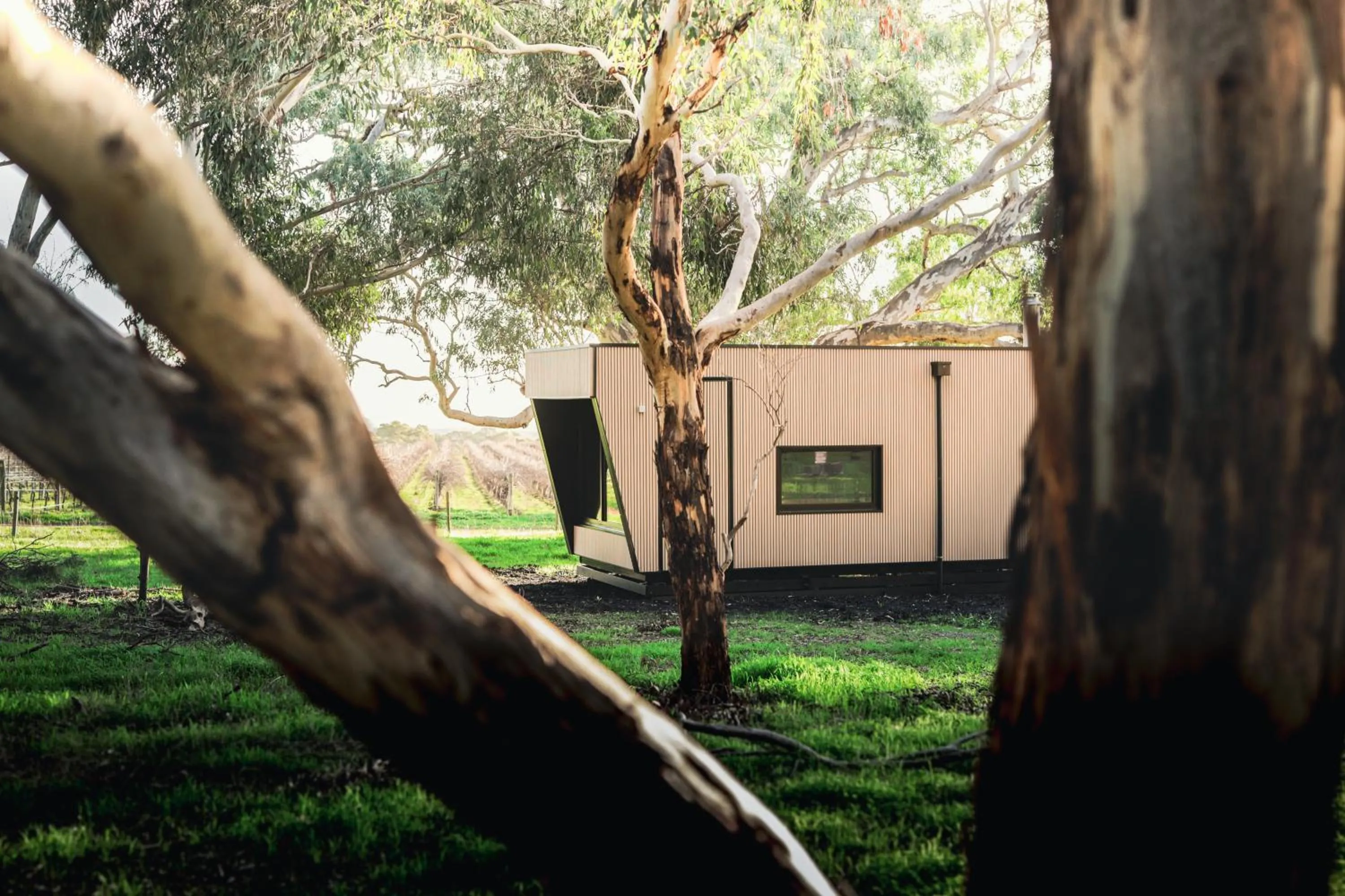 Property building in CABN McLaren Vale