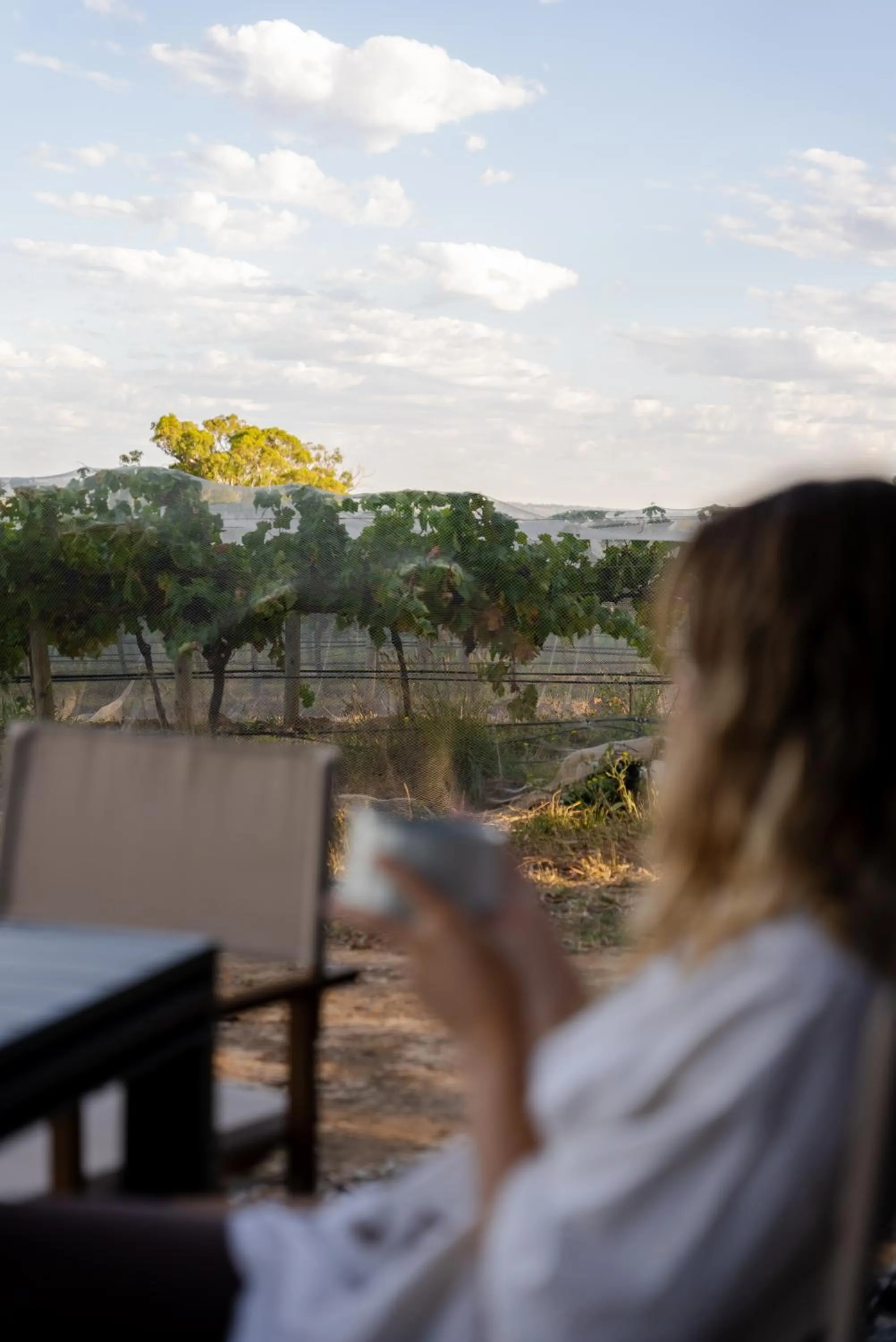 Day in CABN McLaren Vale