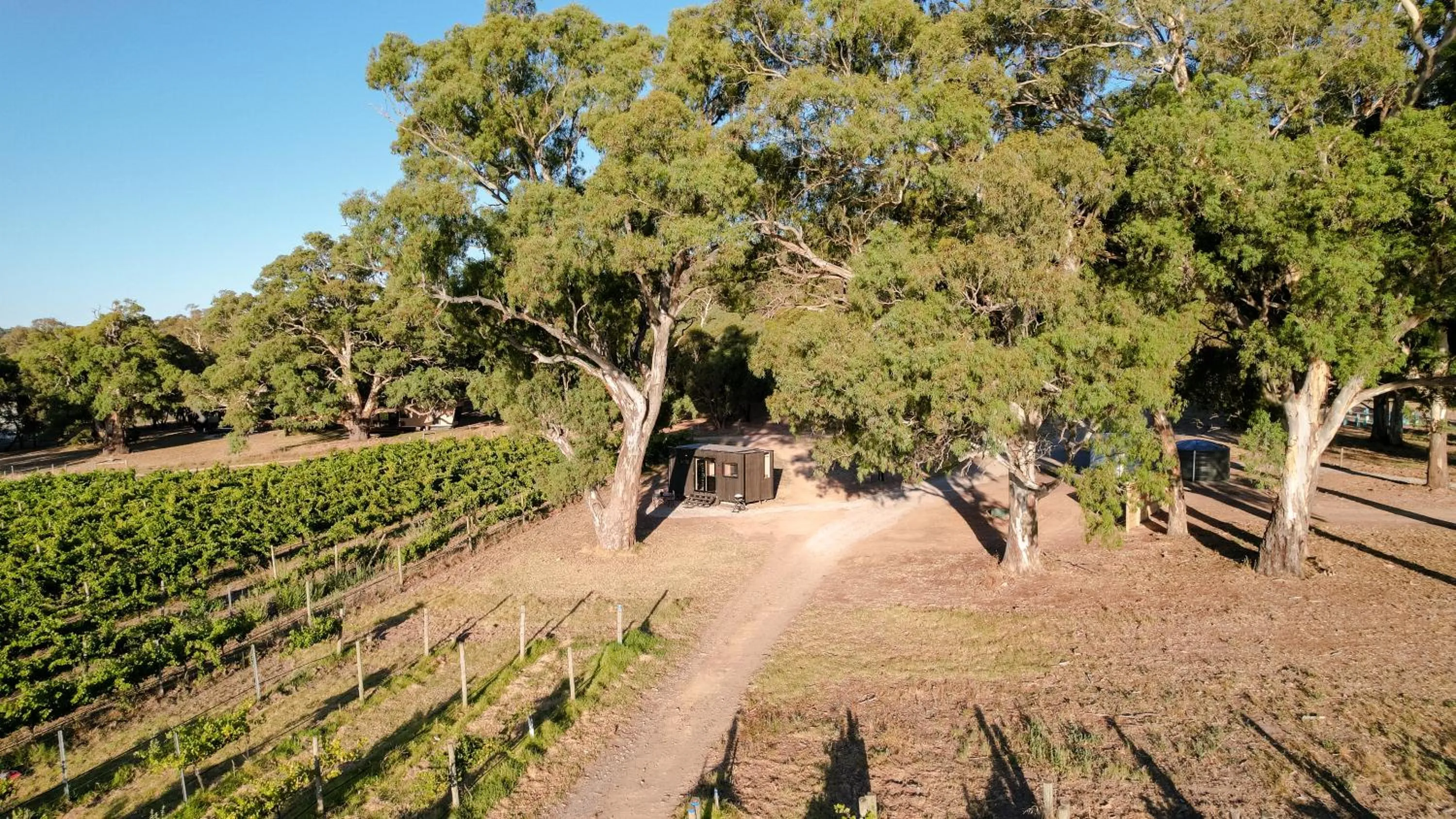 Day in CABN McLaren Vale