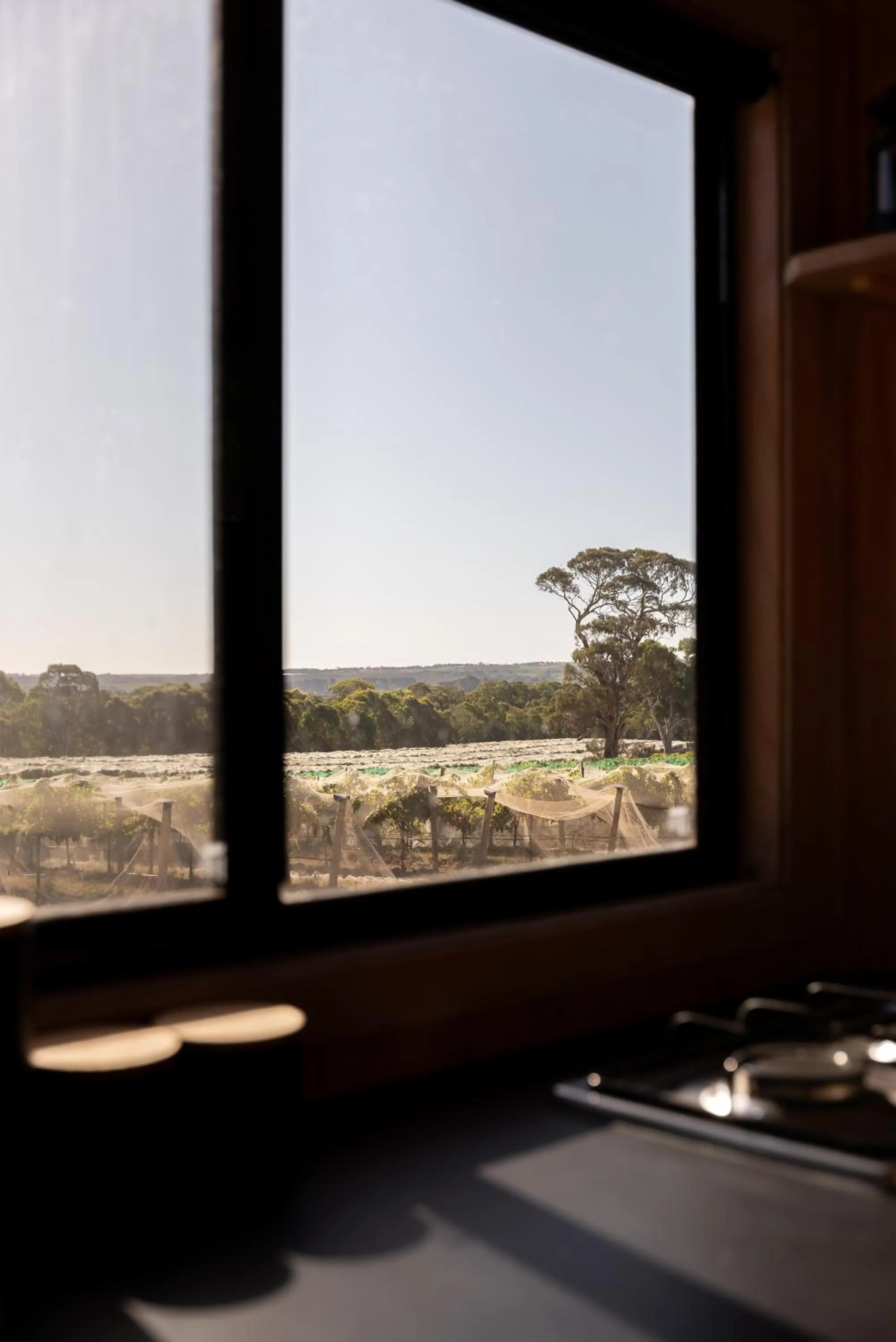 Natural landscape in CABN McLaren Vale