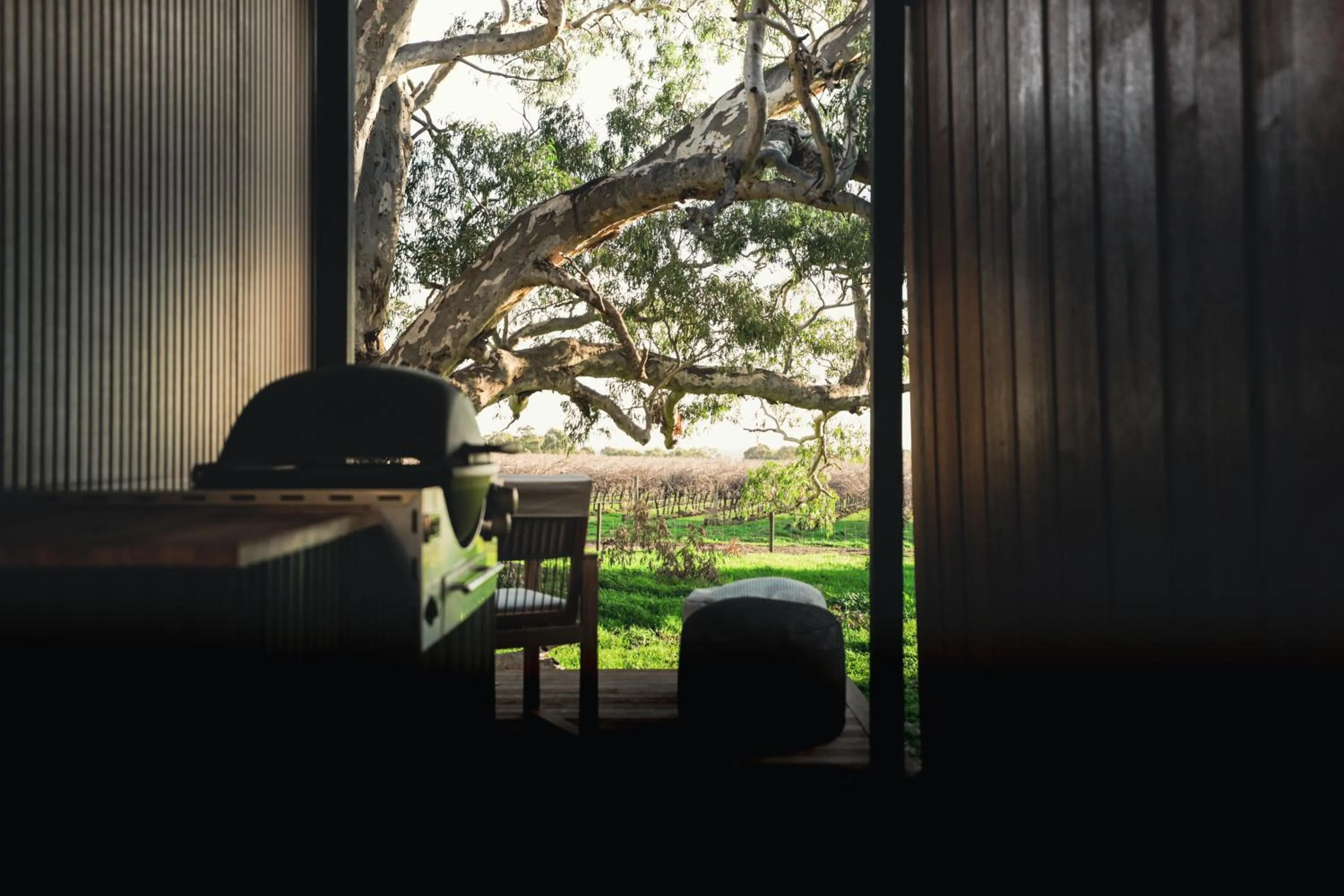 Day in CABN McLaren Vale