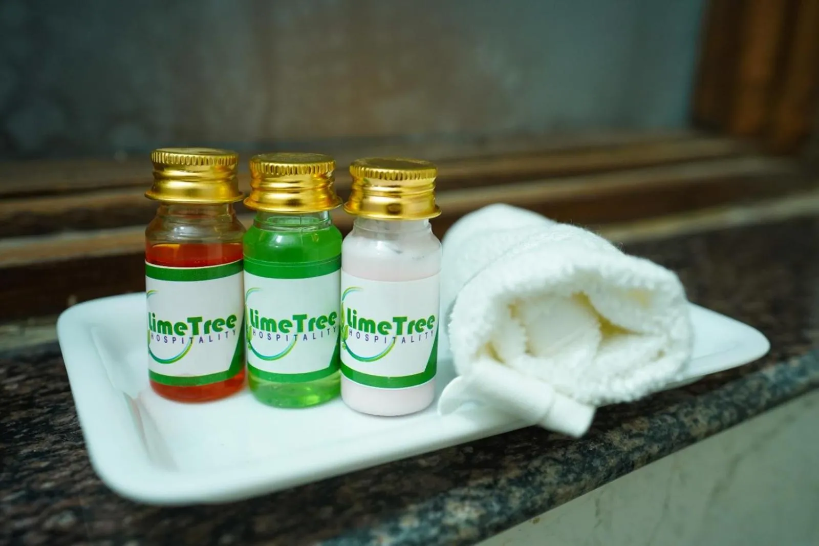 Toilet in Lime Tree 1BHK Serviced Apartment - Medanta Medicity, Gurgaon