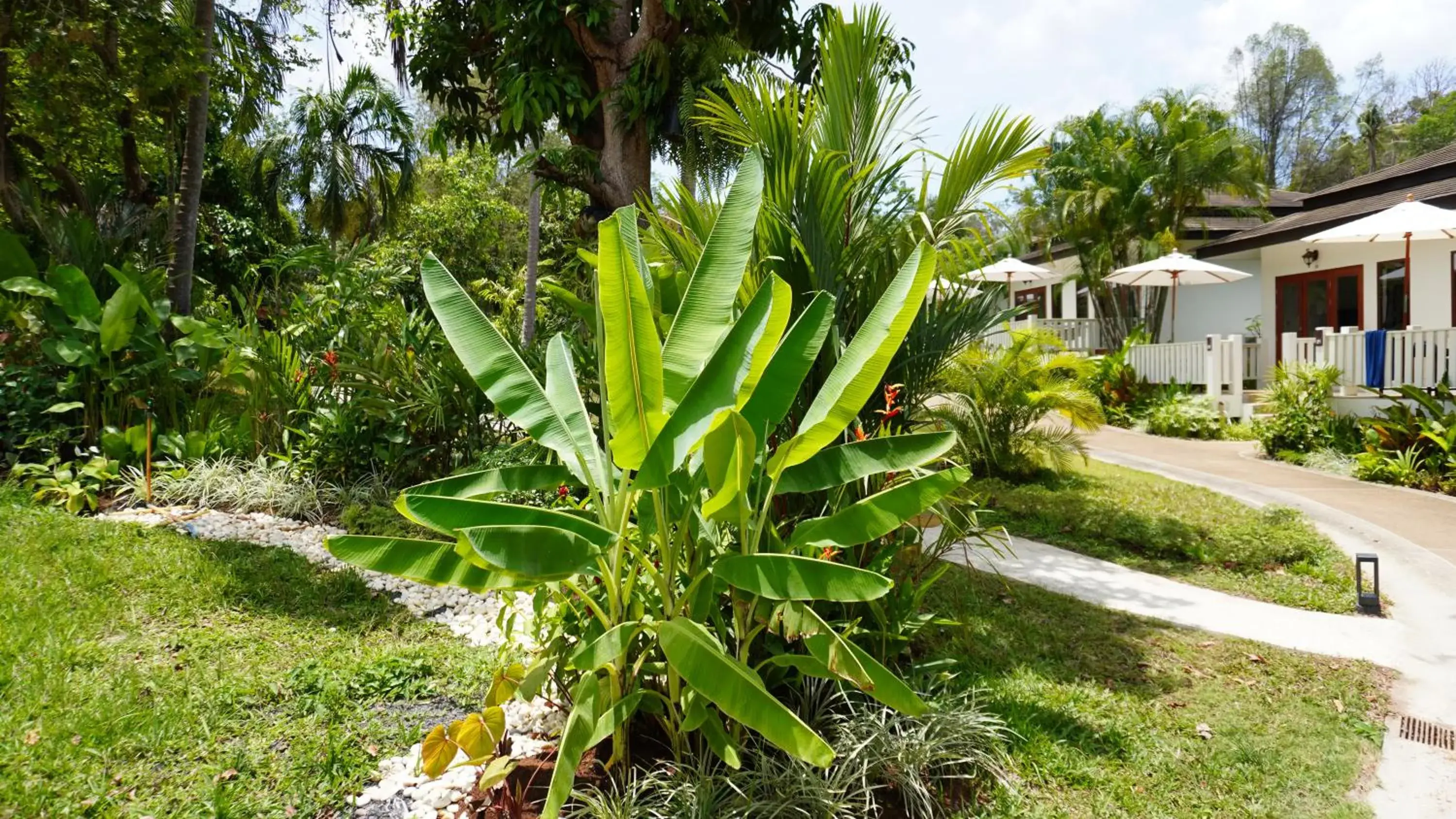 Garden view in Treeya Lanta Garden view in Treeya Lanta