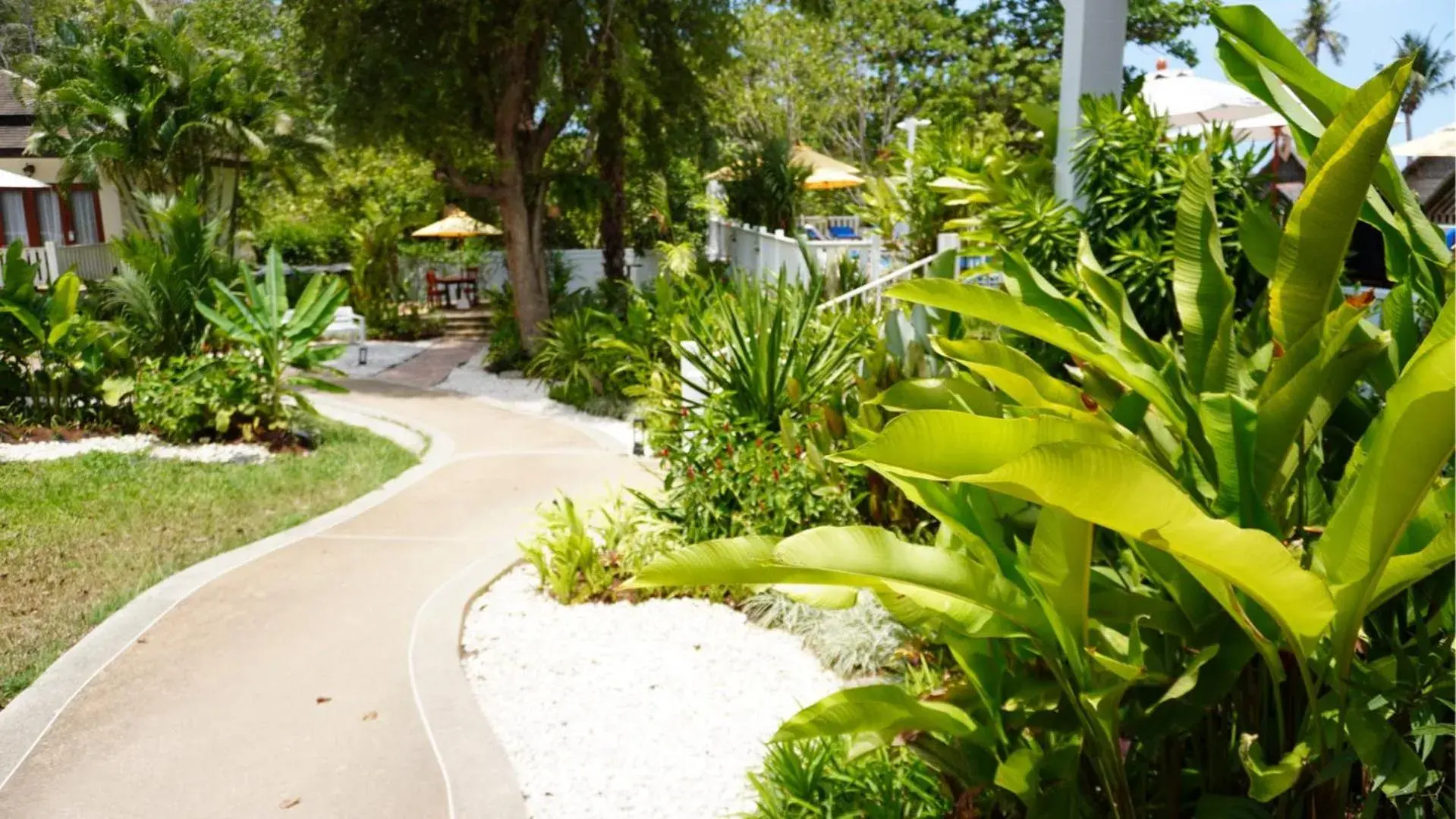 Spring in Treeya Lanta Spring in Treeya Lanta