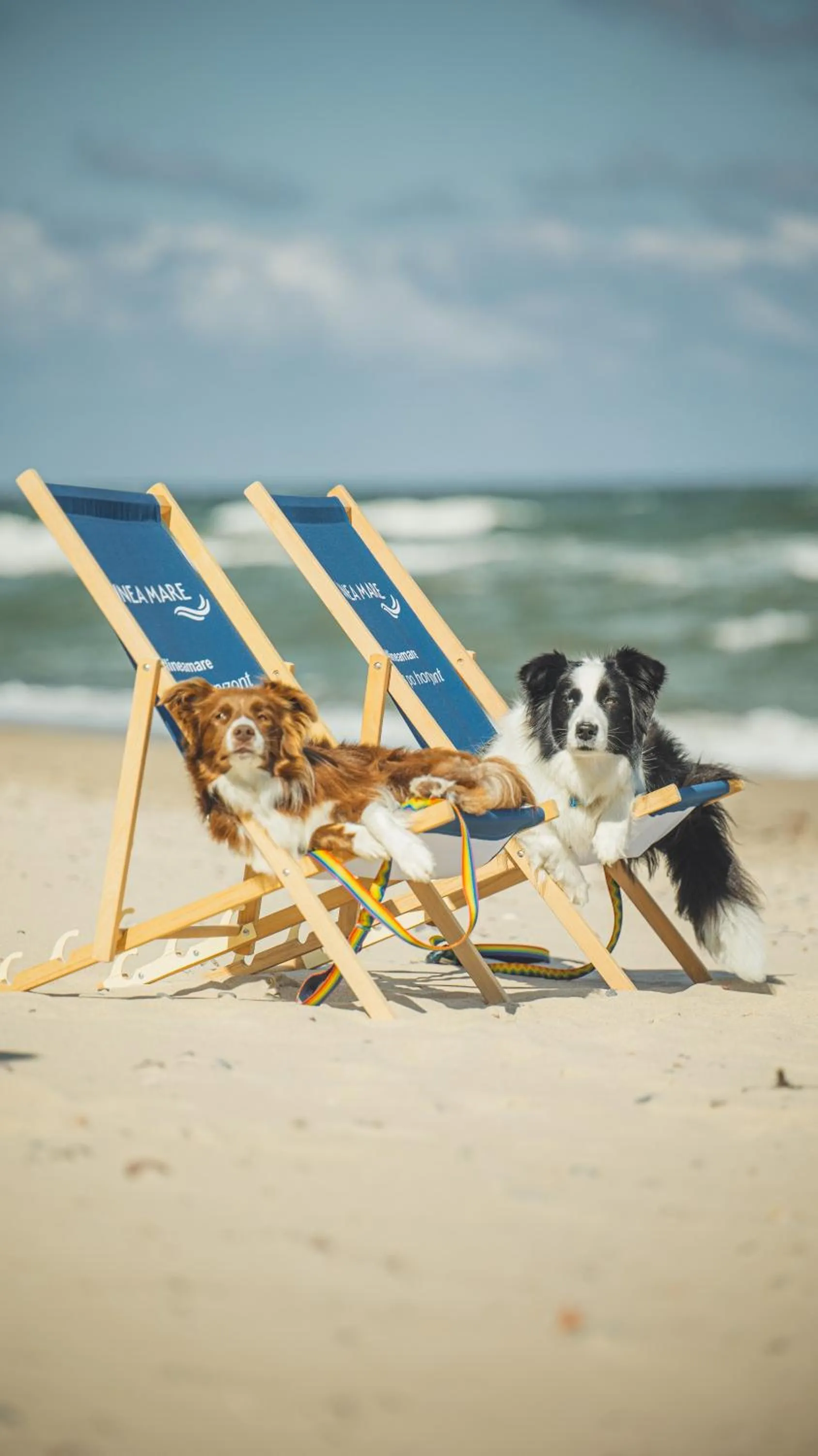 Day in Hotel Linea Mare