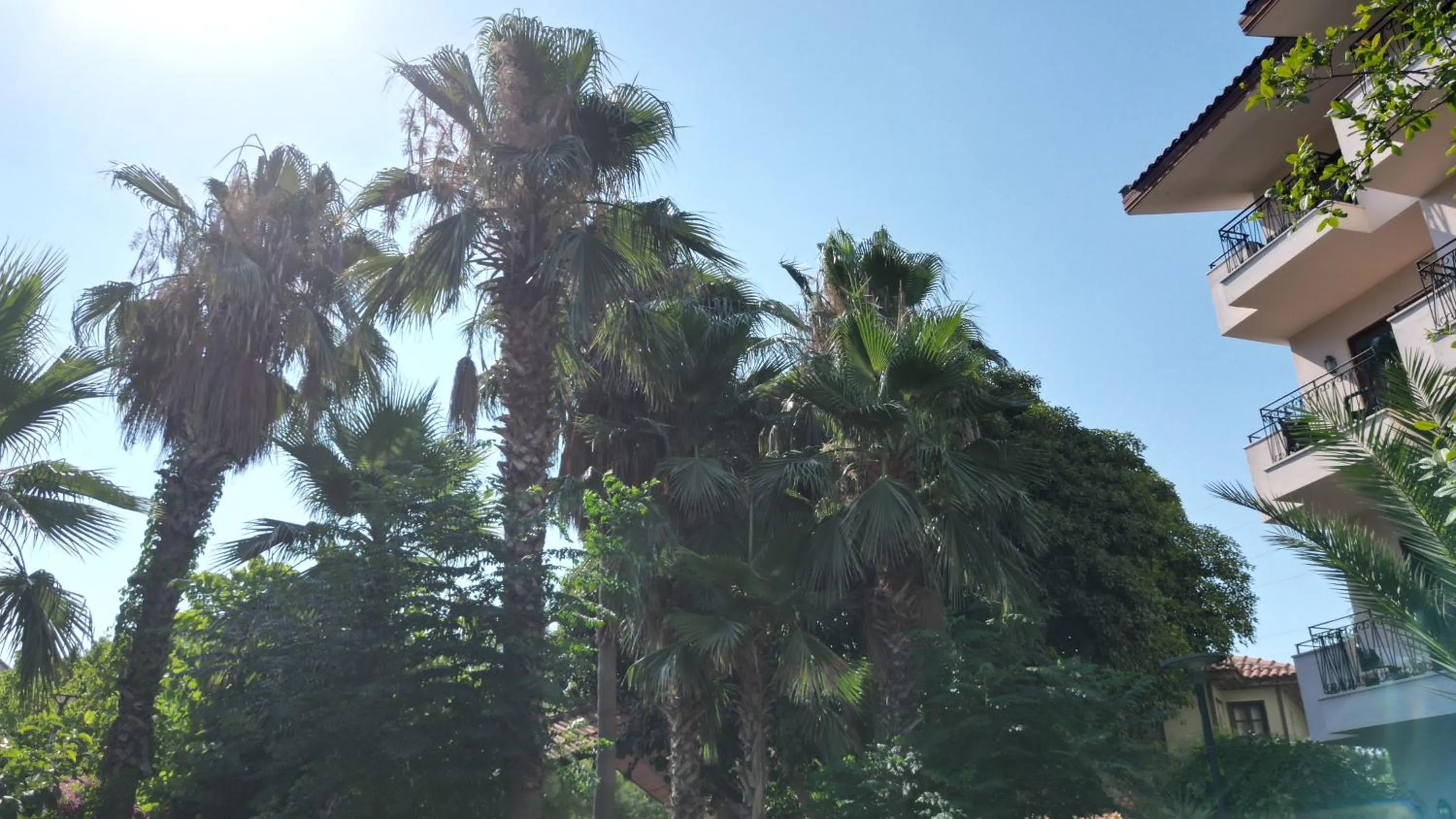 Day in LEMAS SUITE HOTEL