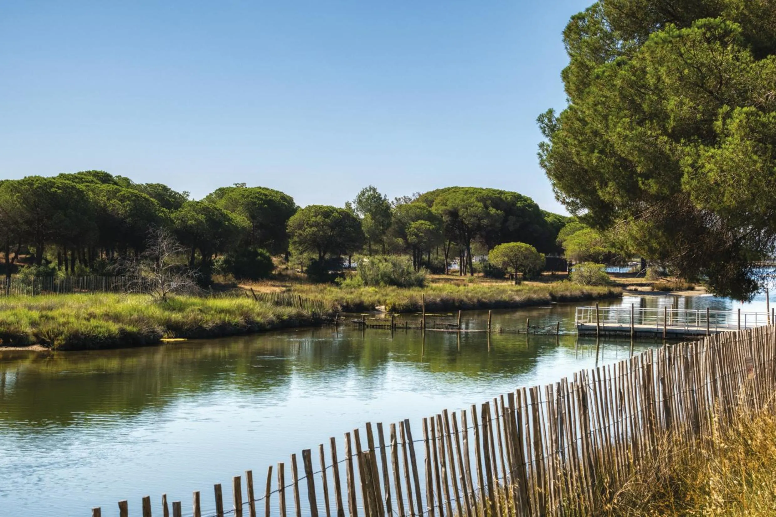 Activities in SOWELL Family Grau du Roi