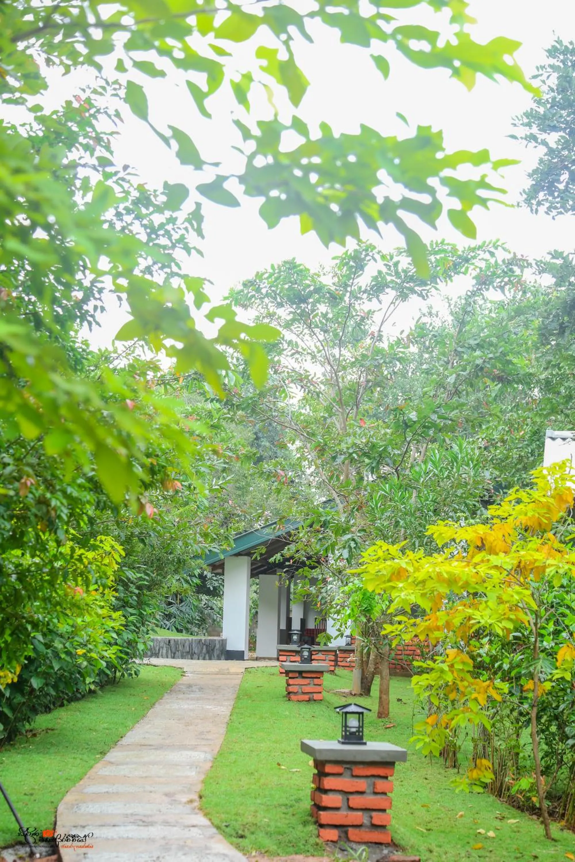 Natural landscape in Naturaliza Sigiriya