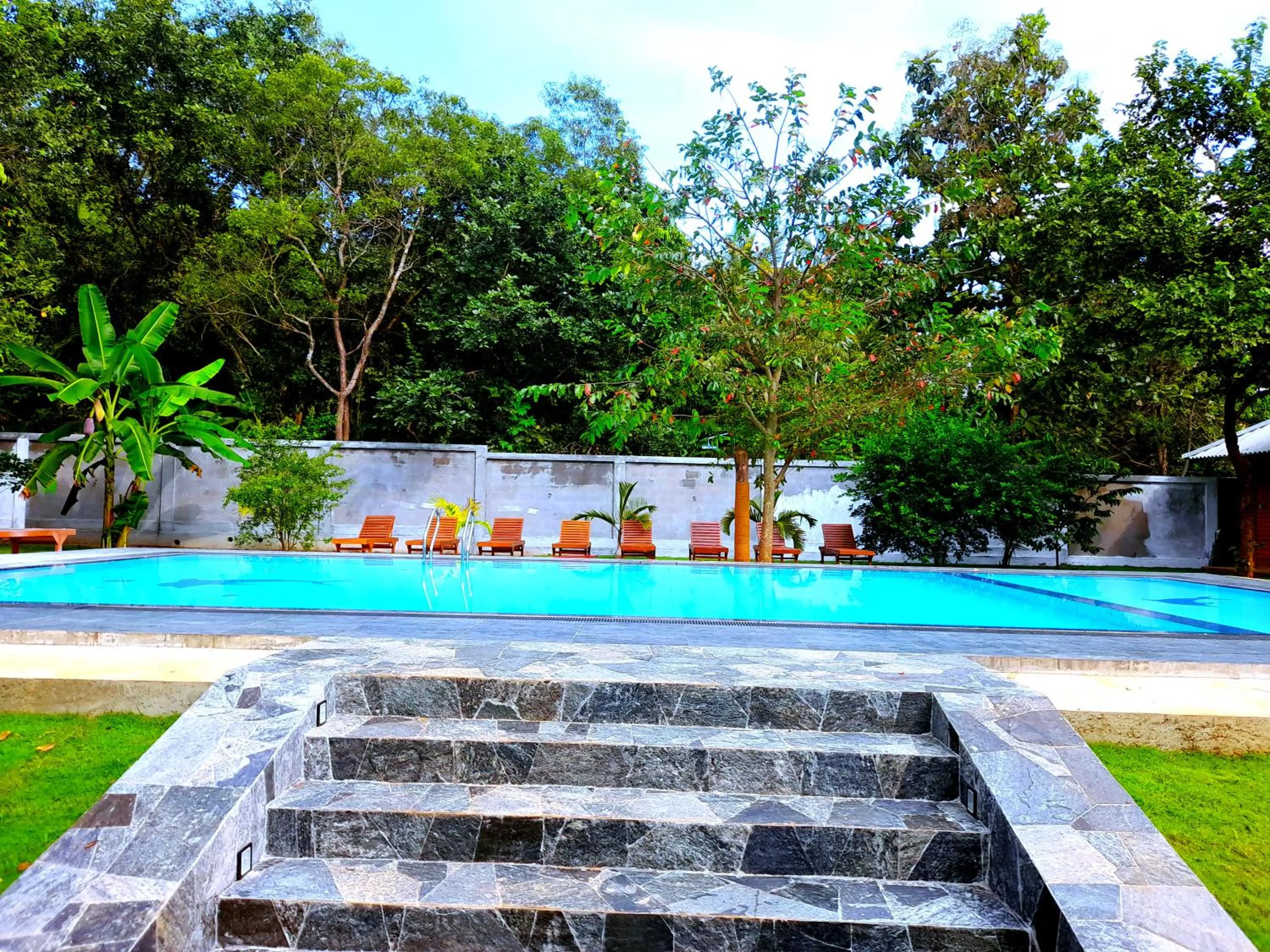 Swimming pool in Naturaliza Sigiriya