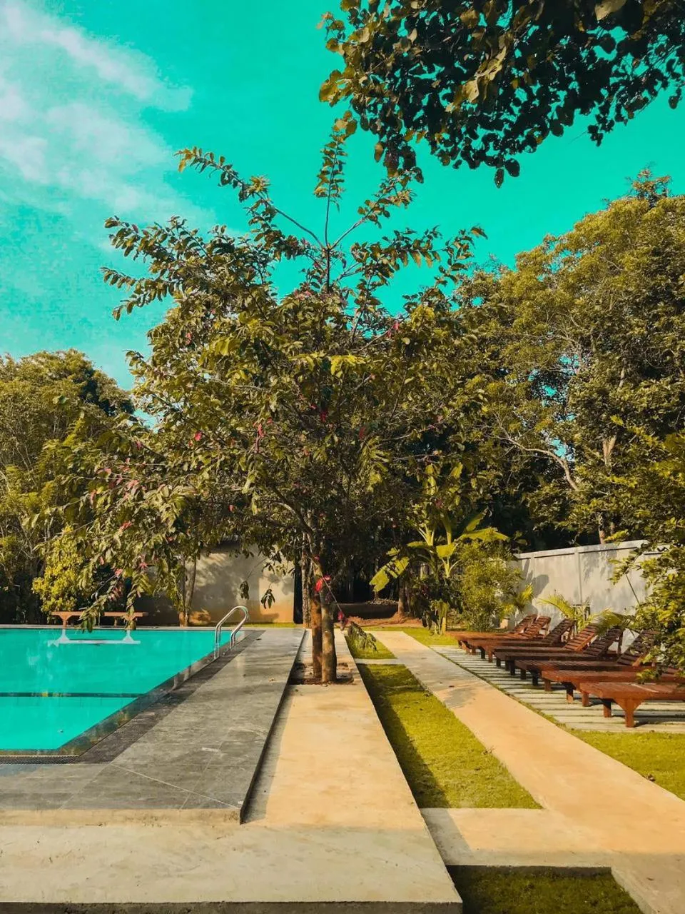 Swimming pool in Naturaliza Sigiriya
