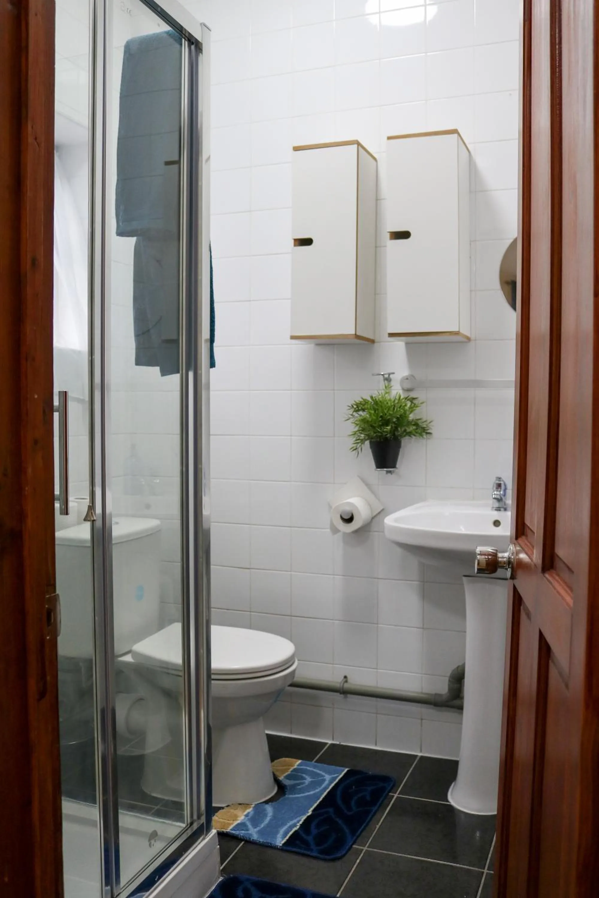 Shower in Desire Residence
