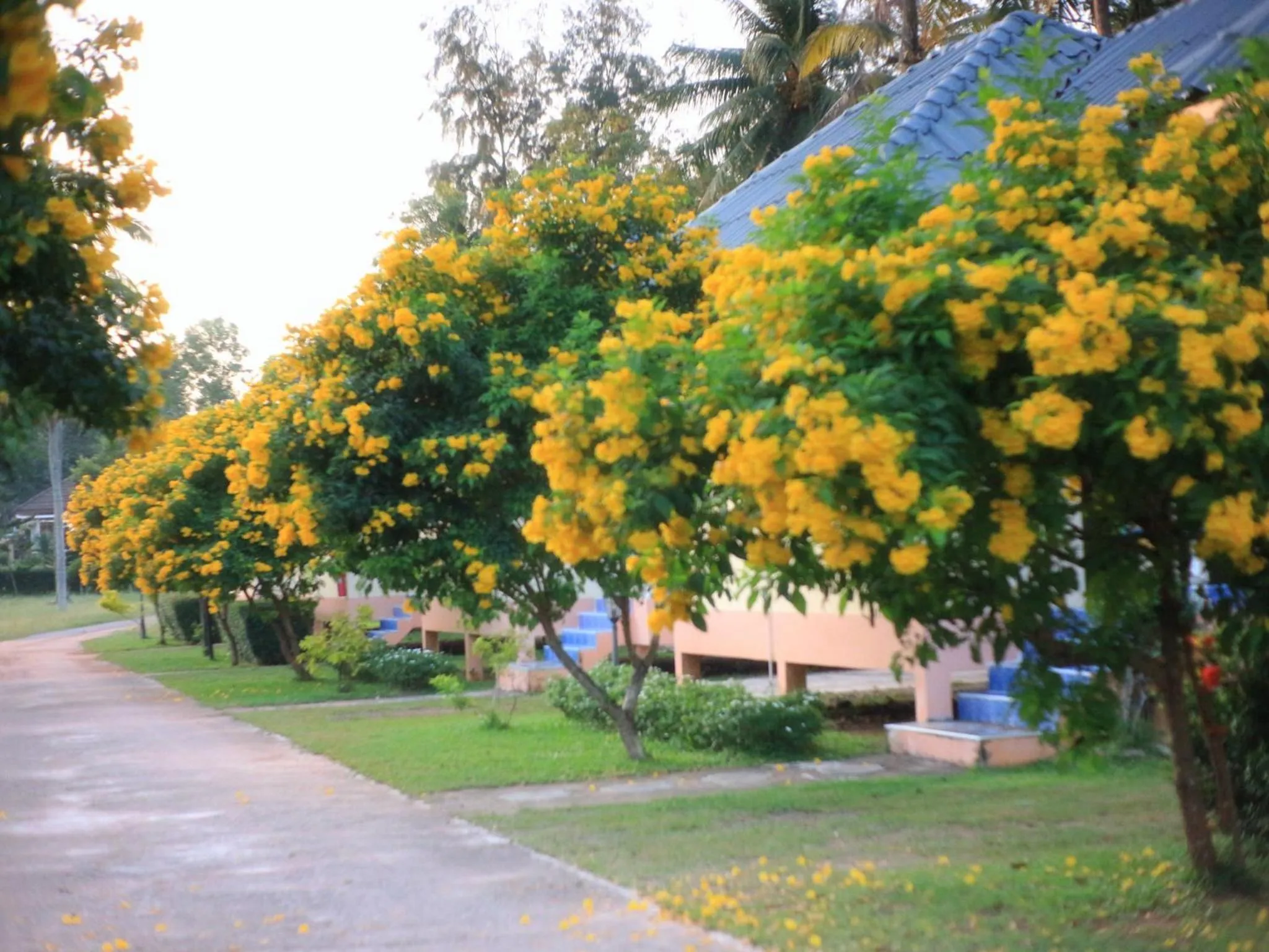 Natural landscape in Thungwua laen resort