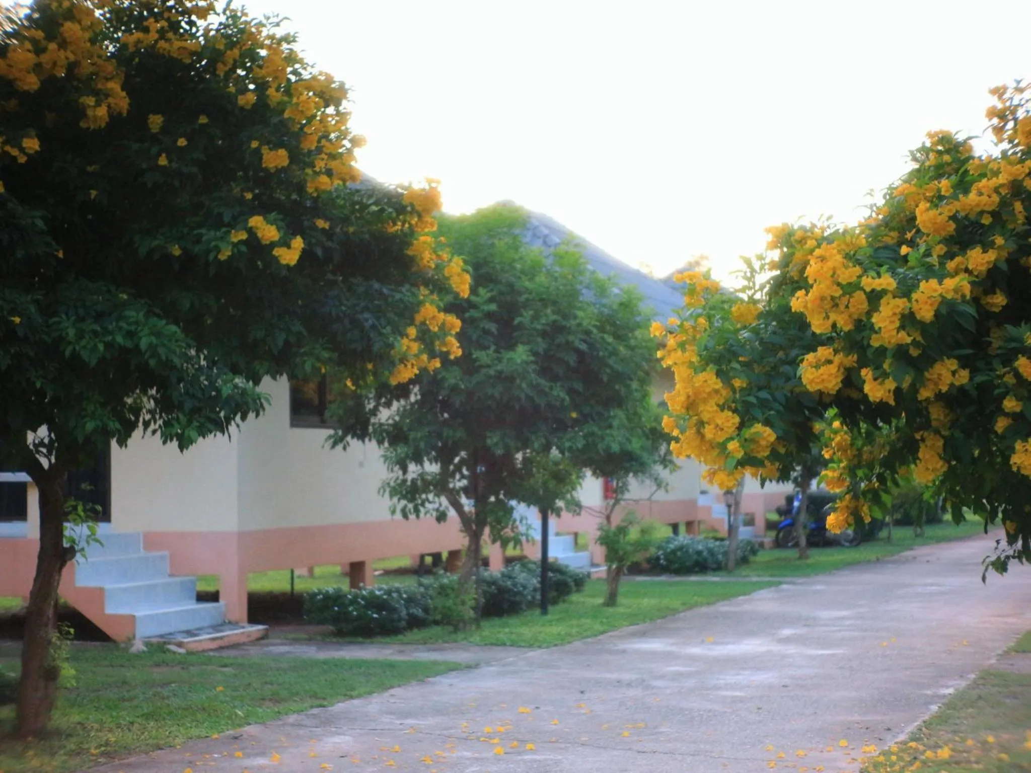 Garden in Thungwua laen resort