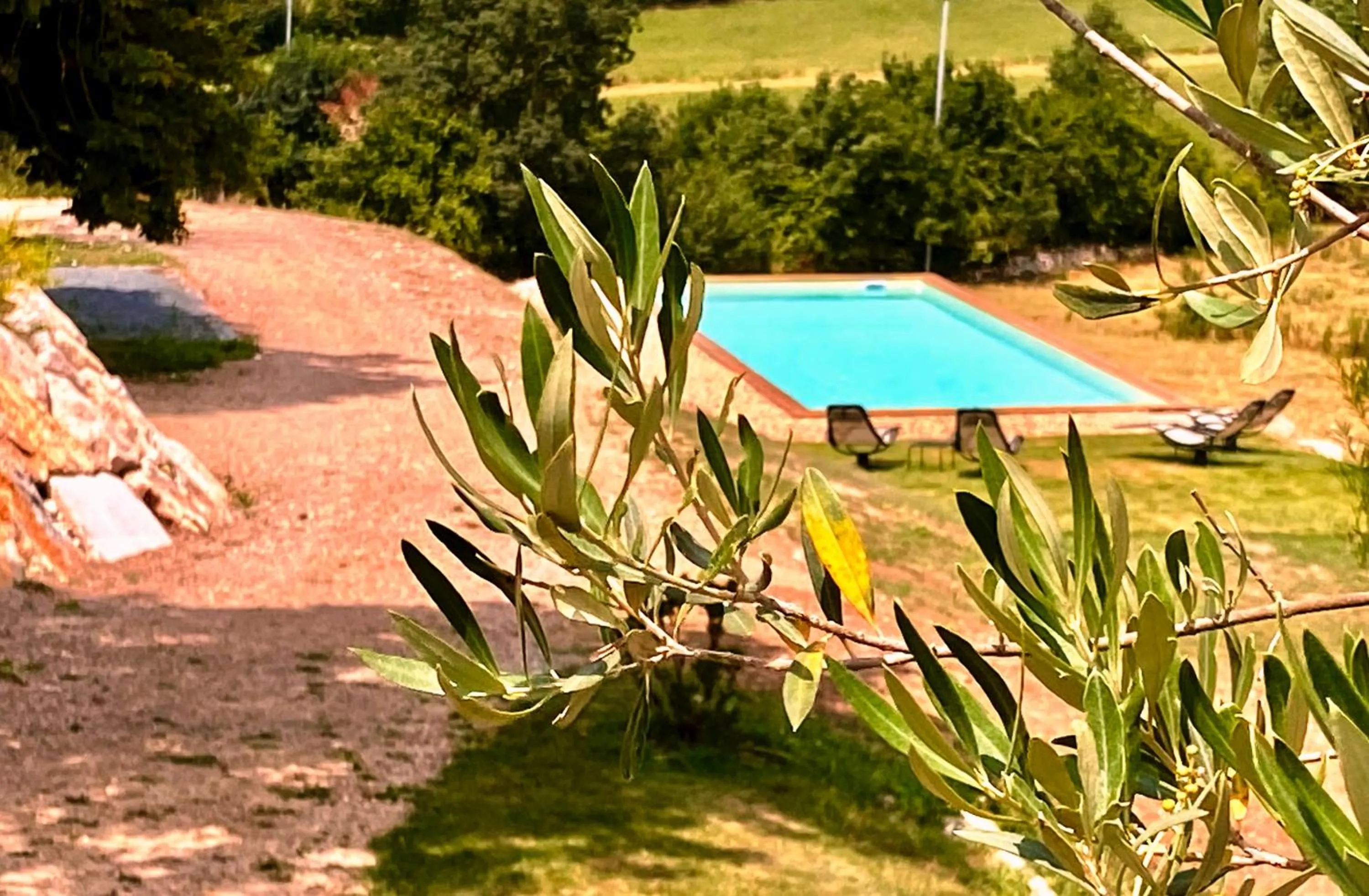 Garden in DOMAINE DE LEJOS - Portes d'Albi