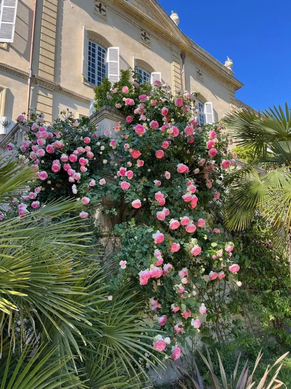 Château de Collias - Maison de Vacances