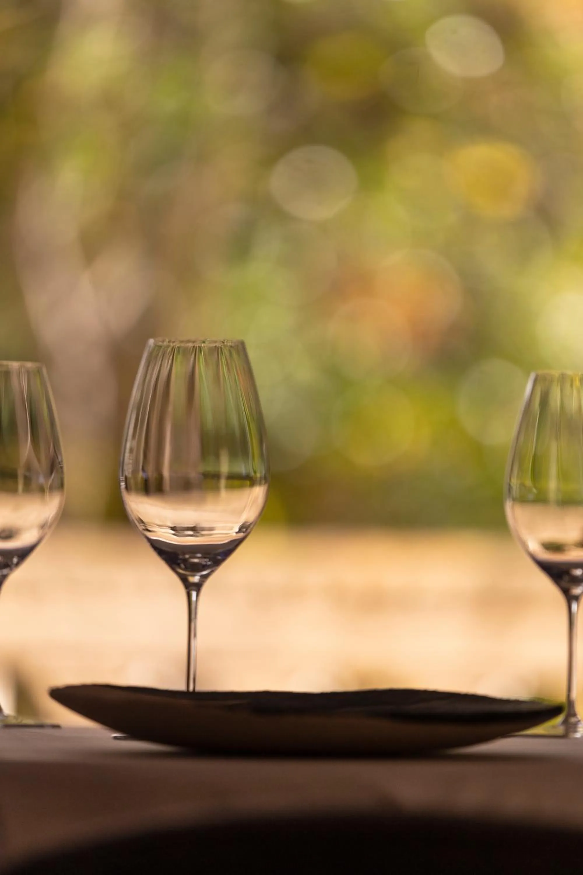 Decorative detail in Château de Collias