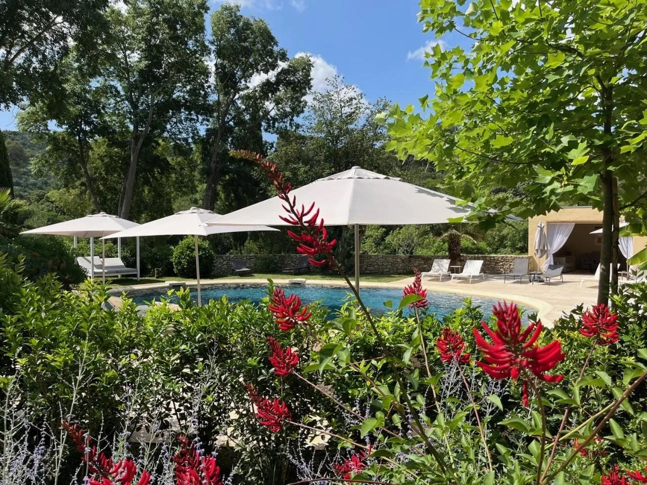 Swimming pool in Château de Collias - Maison de Vacances