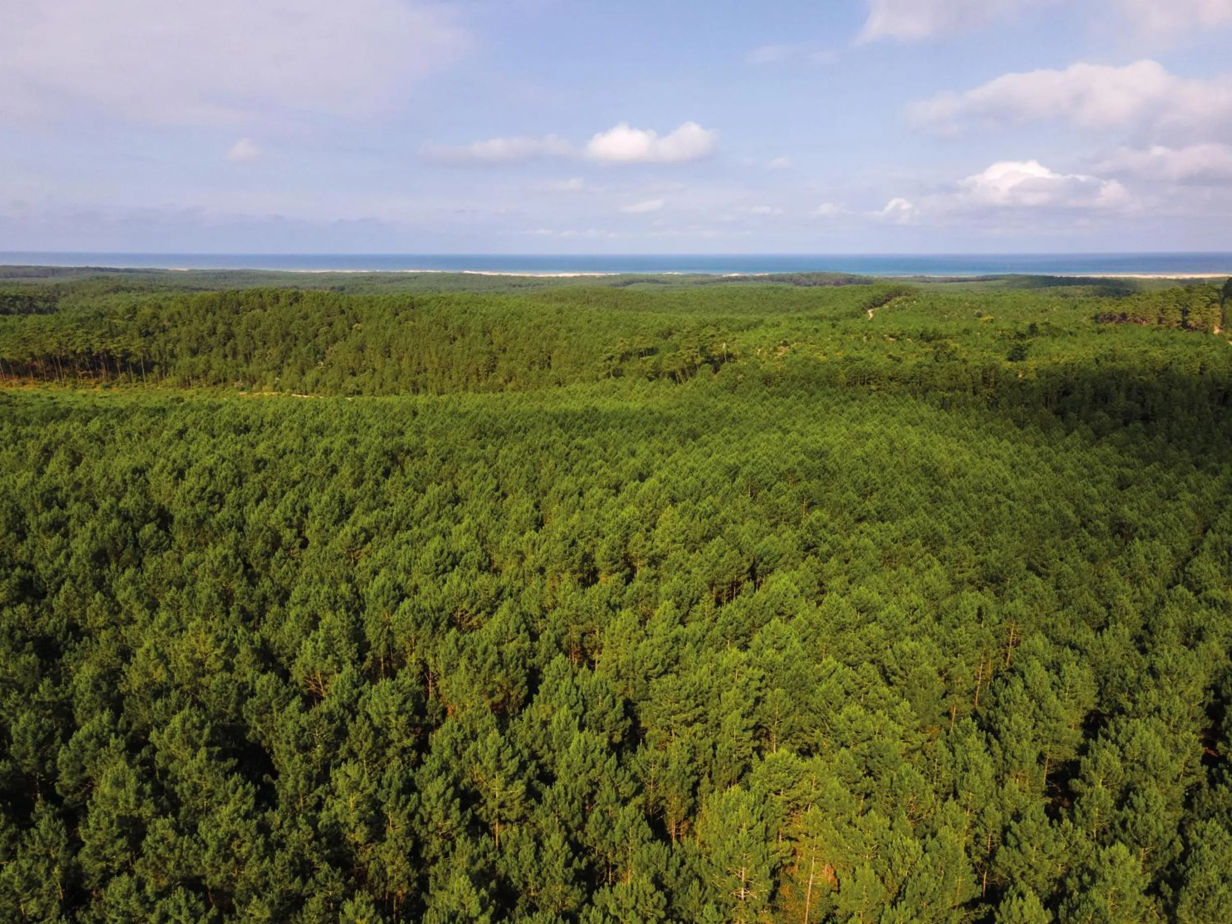 Bird's eye view in Résidence les Cavales