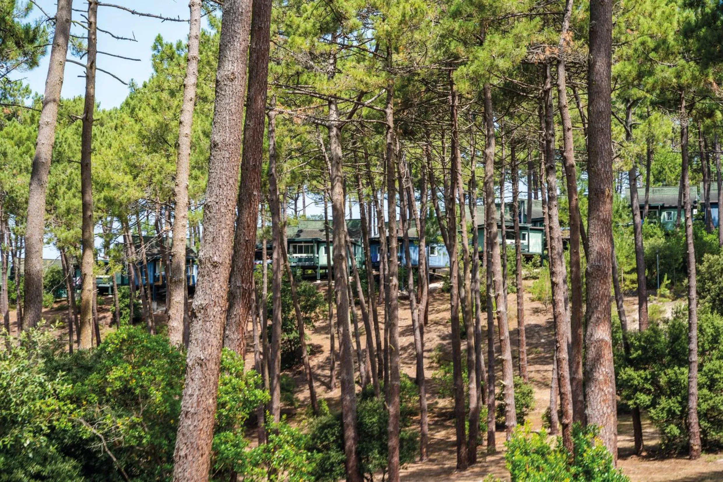 Property building in Résidence les Cavales