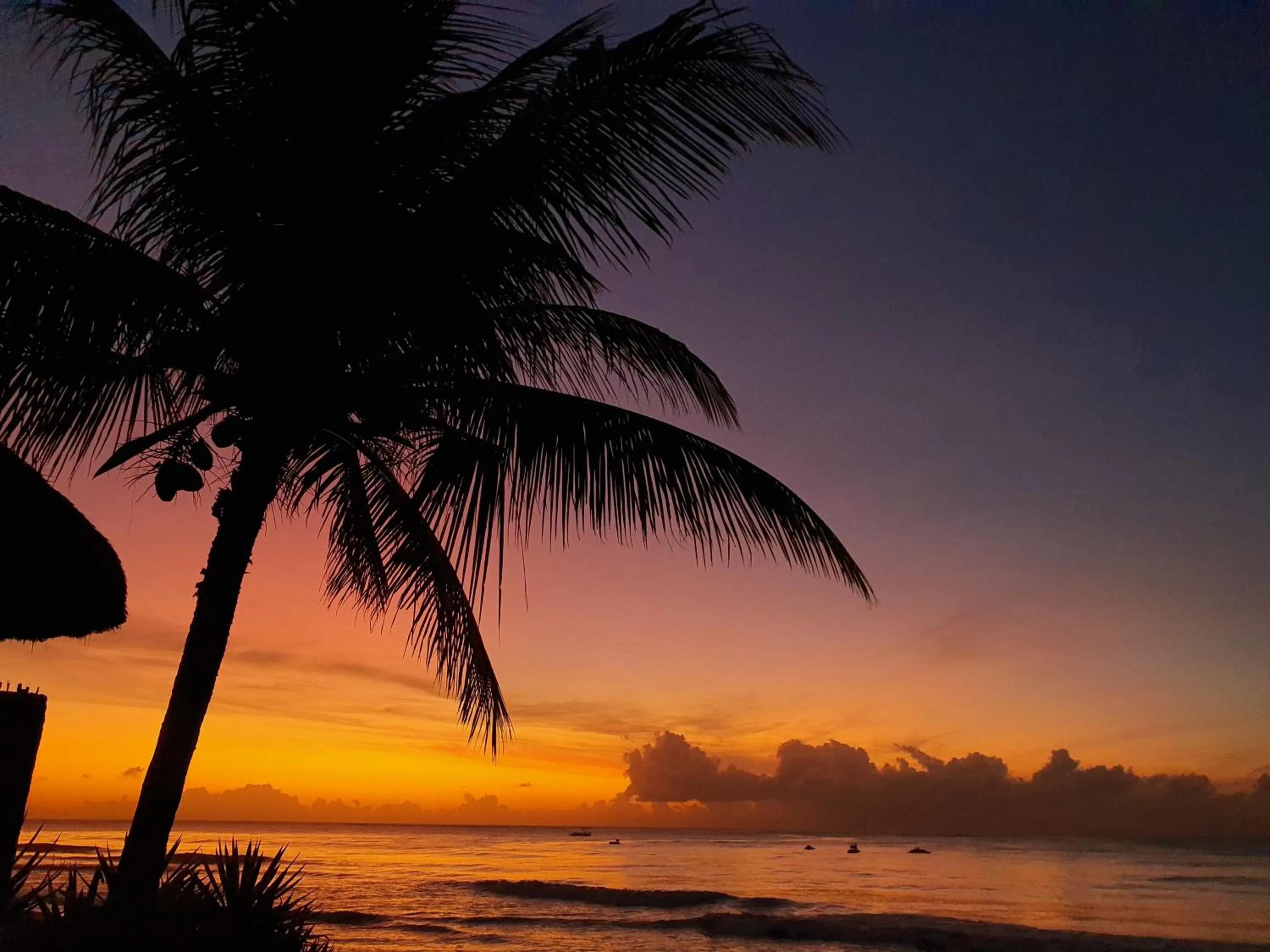 Natural landscape in Manaí Pousada & Beach Club