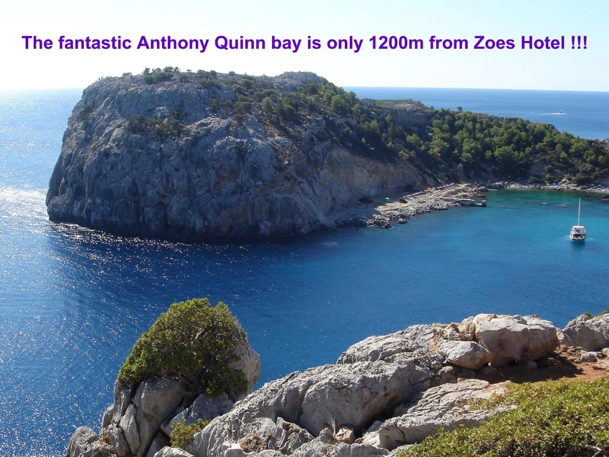 Area and facilities in Zoes Hotel & Suites