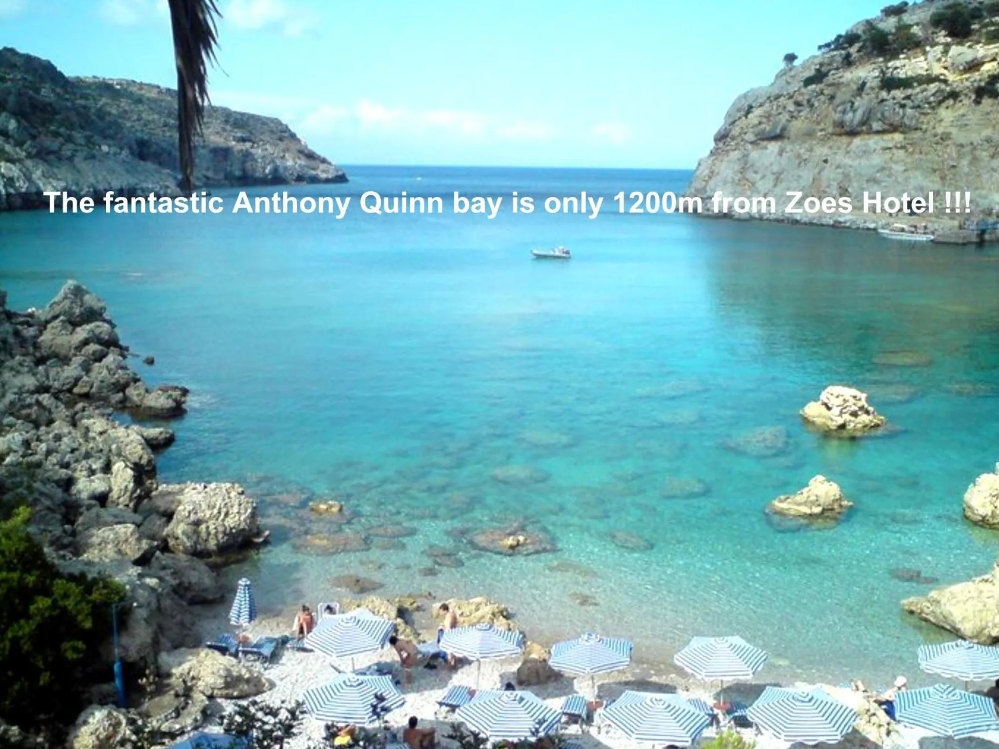 Area and facilities in Zoes Hotel & Suites