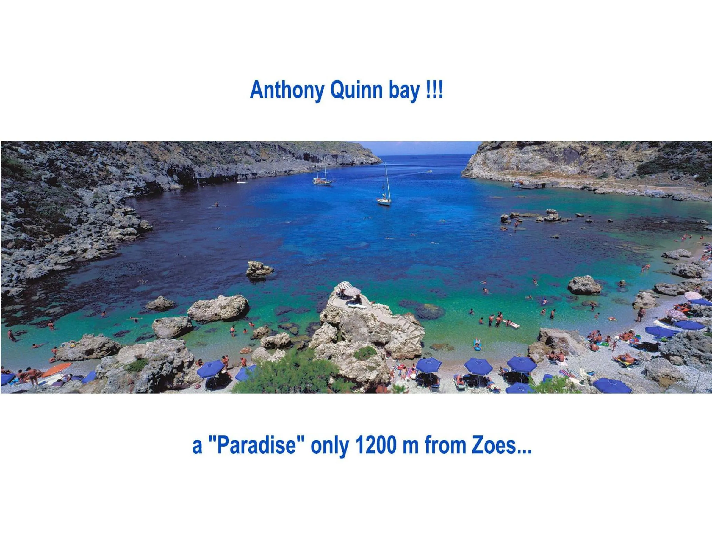 Area and facilities in Zoes Hotel & Suites