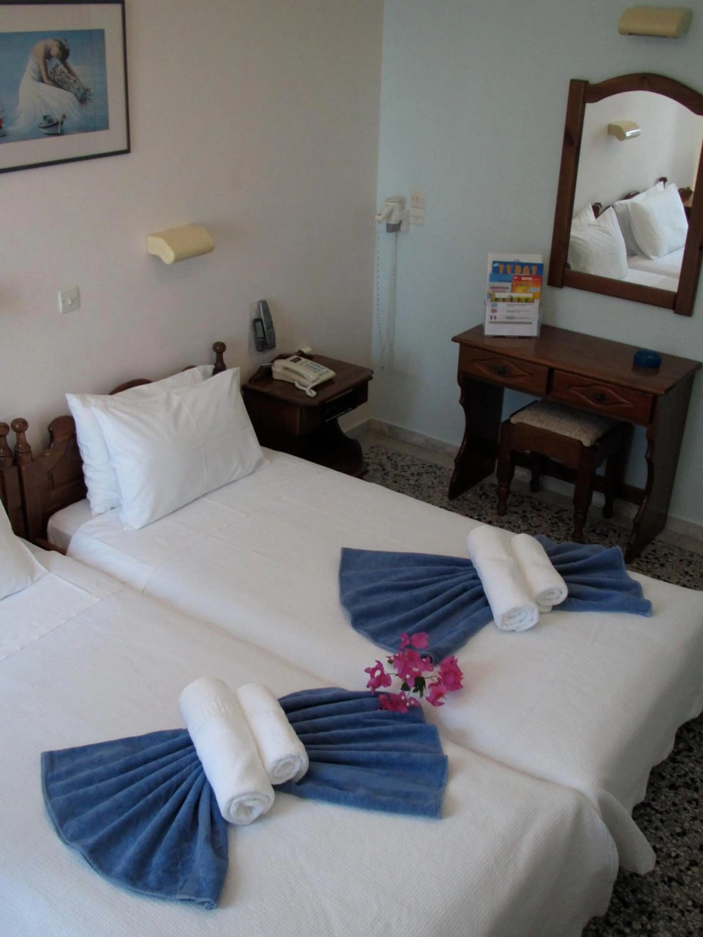 Twin Room in Hotel Alkyon