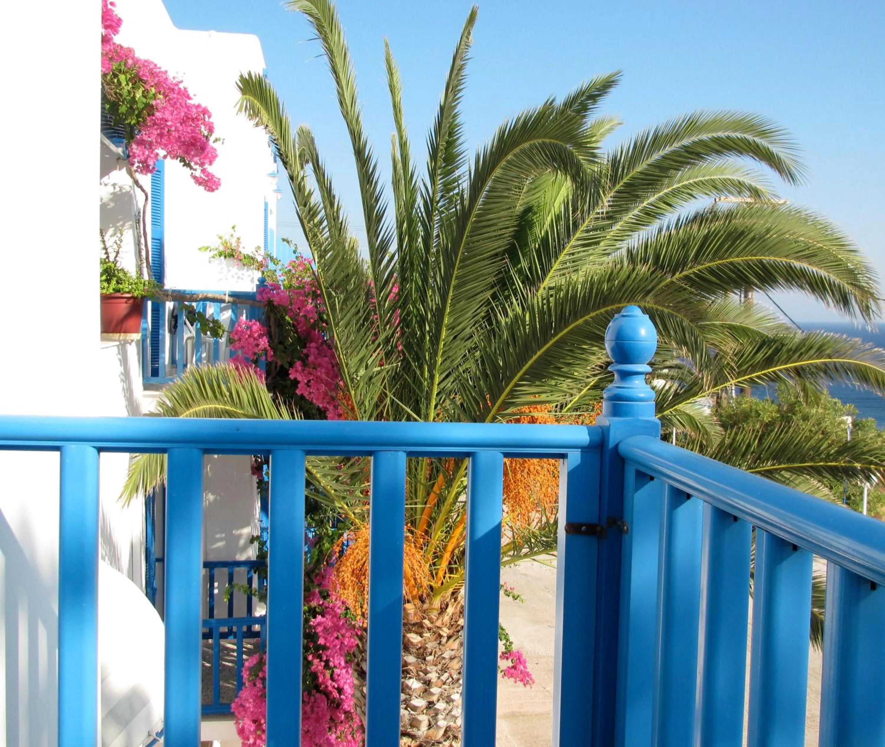 Single Room in Hotel Alkyon