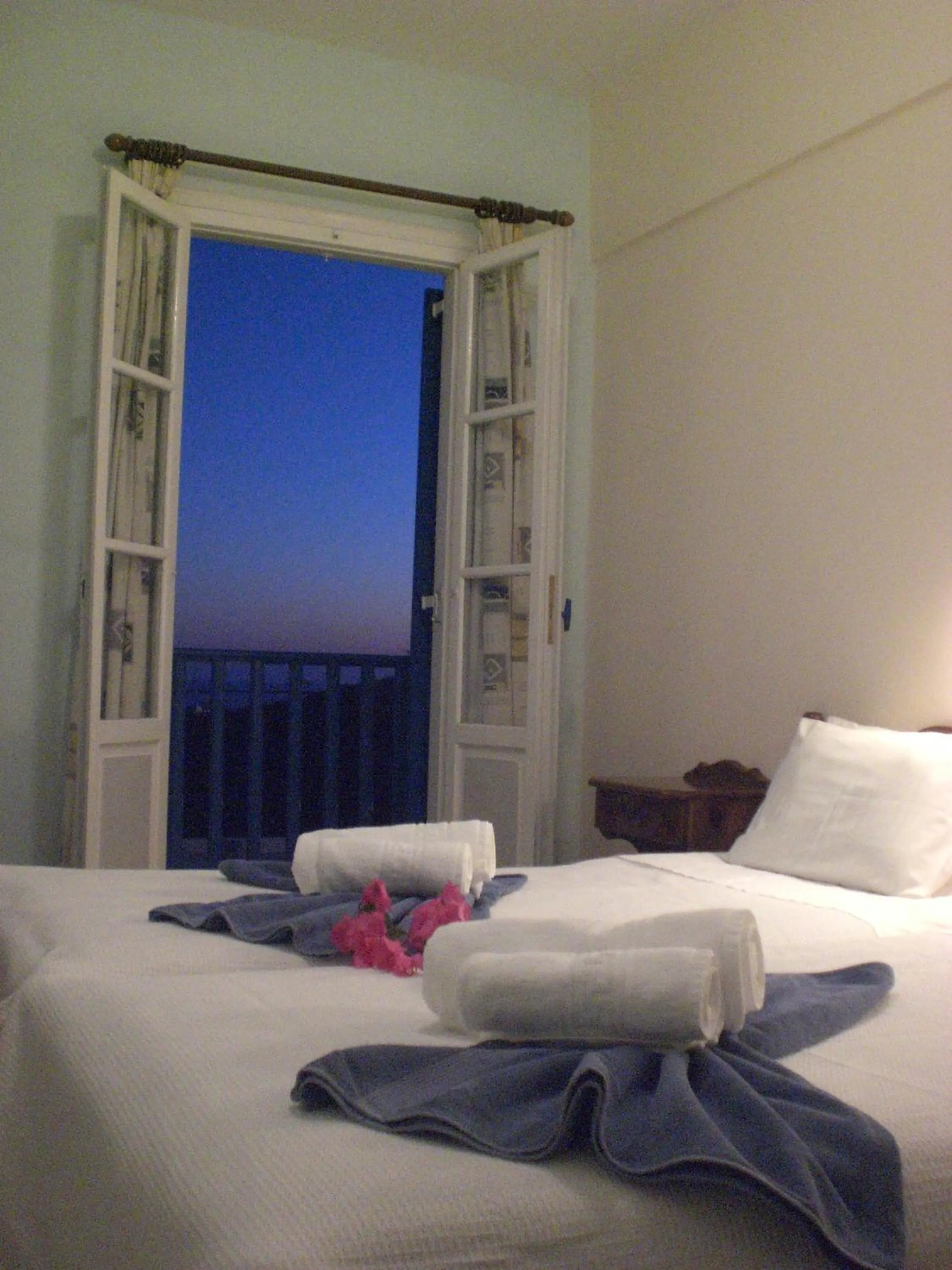 Twin Room in Hotel Alkyon
