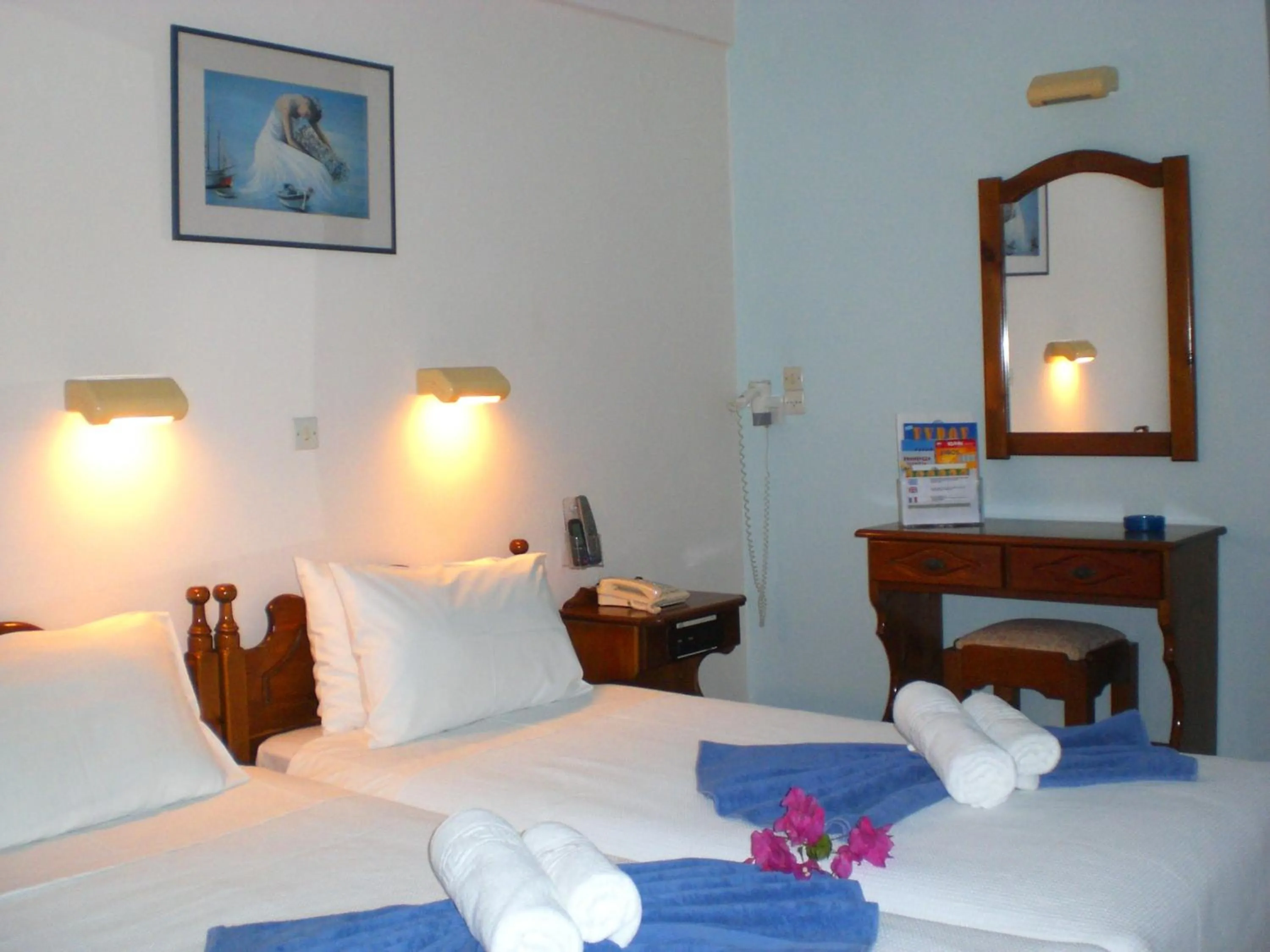 Twin Room in Hotel Alkyon