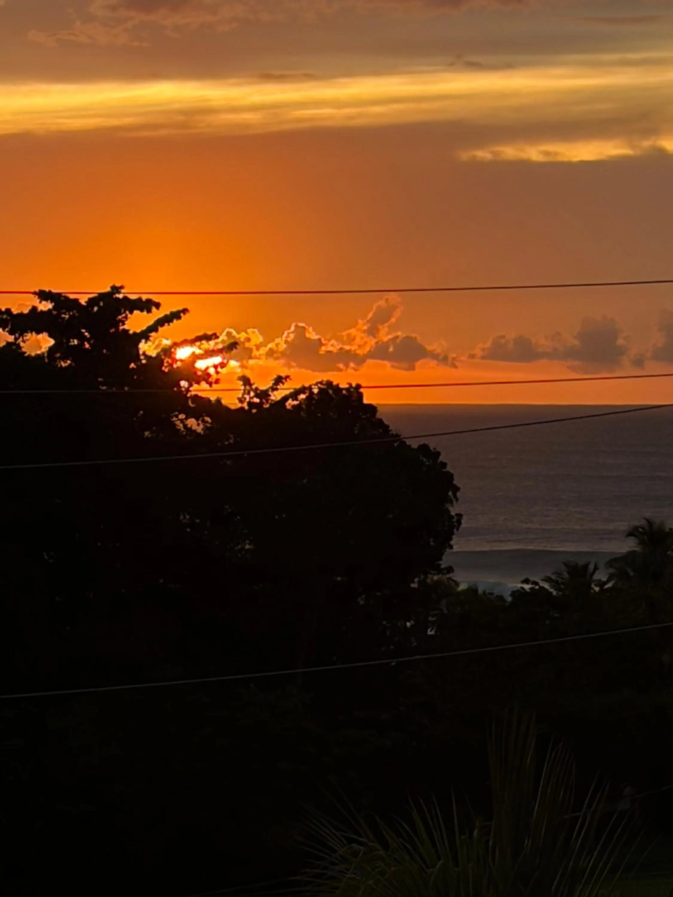 View (from property/room) in Tres Palmas Boutique Hotel